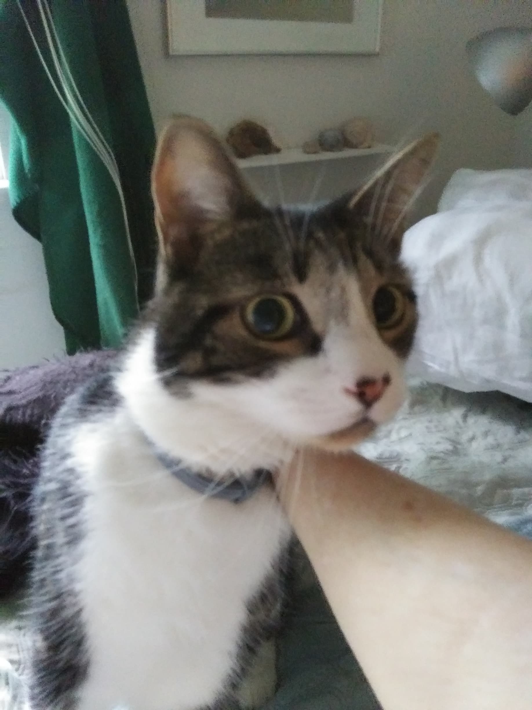 Jimmy, back home in New Jersey