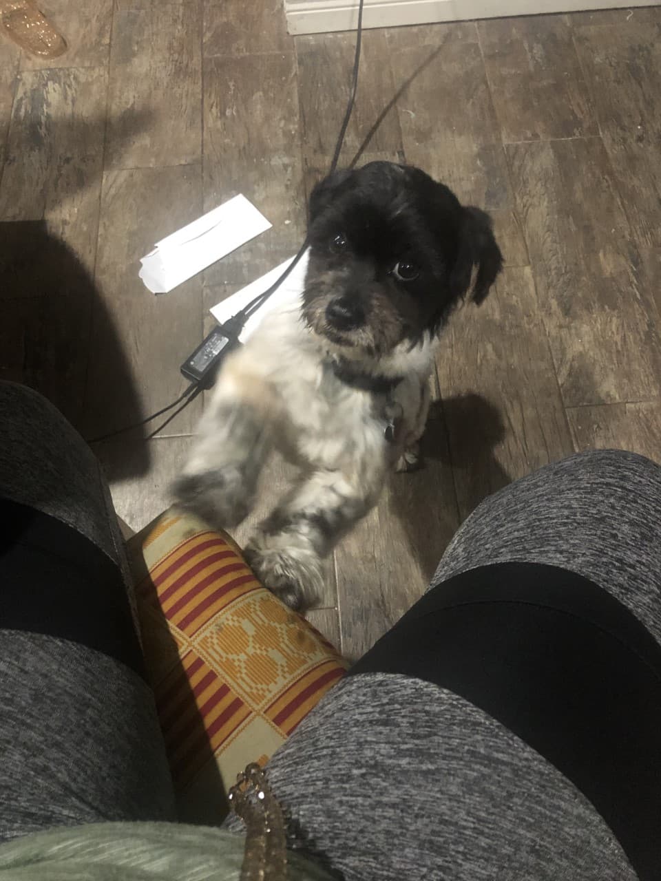 kiRBY, back home in Texas