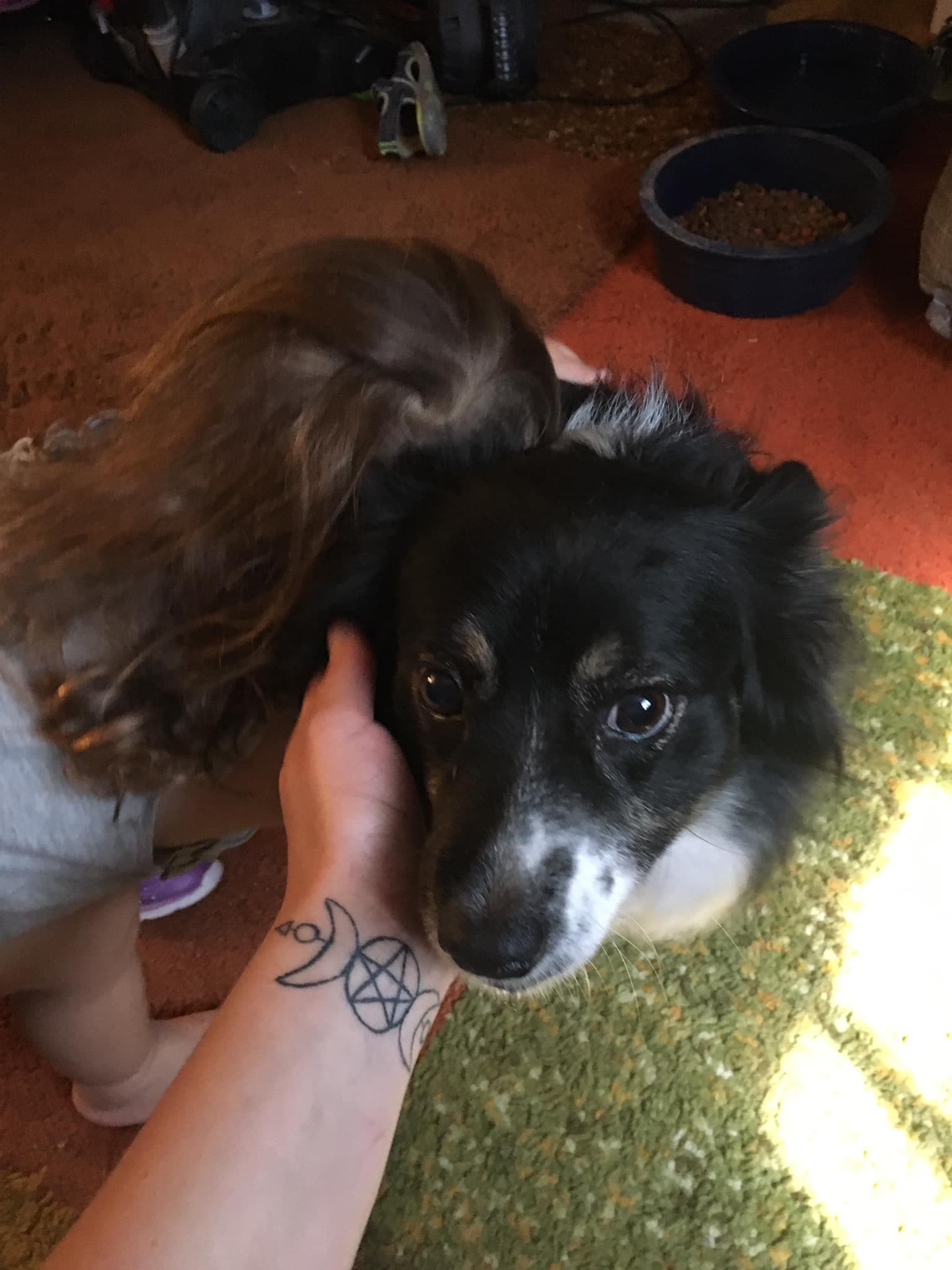 Pepper, back home in Utah