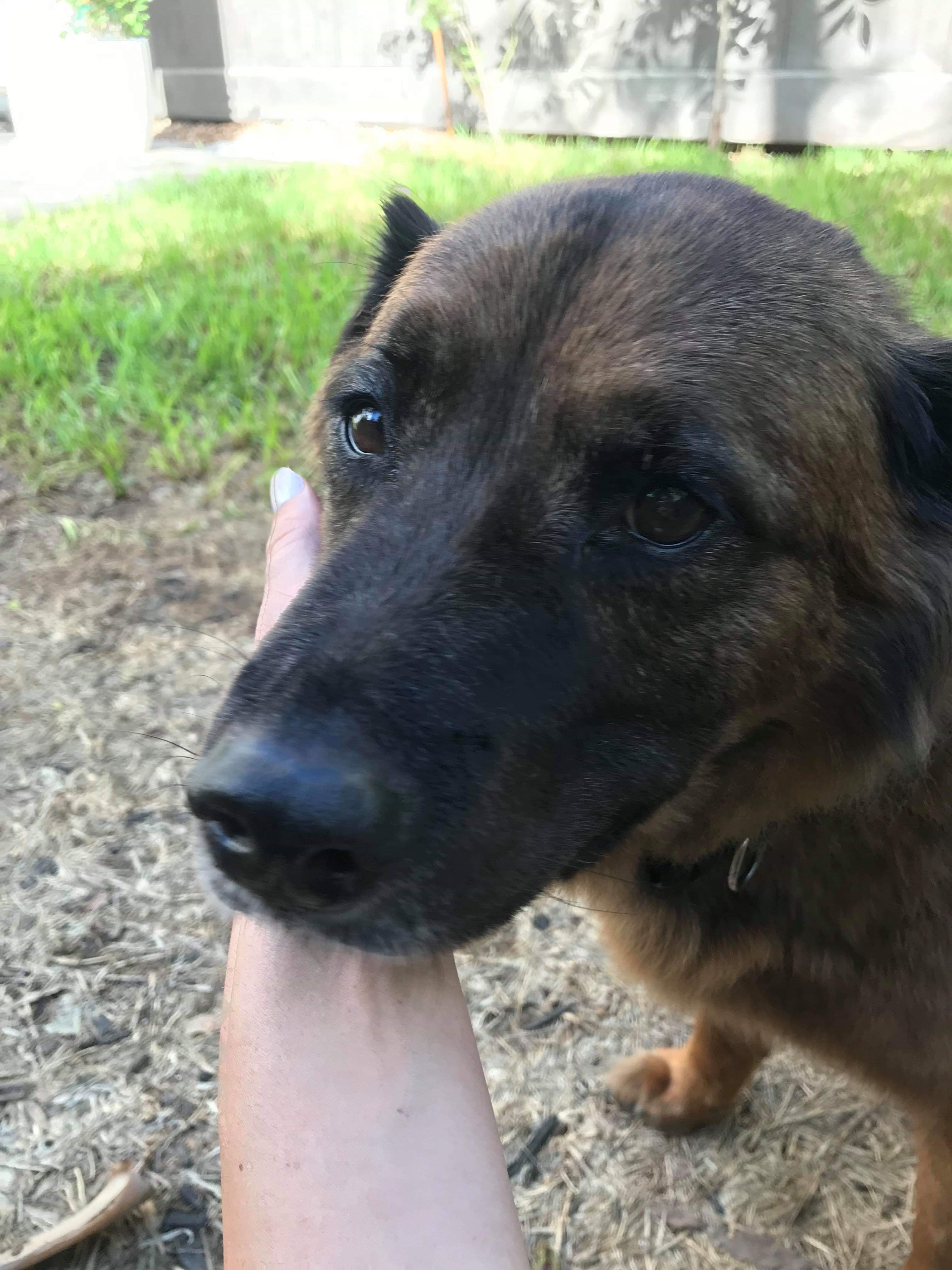Charlie, back home in Houston TX