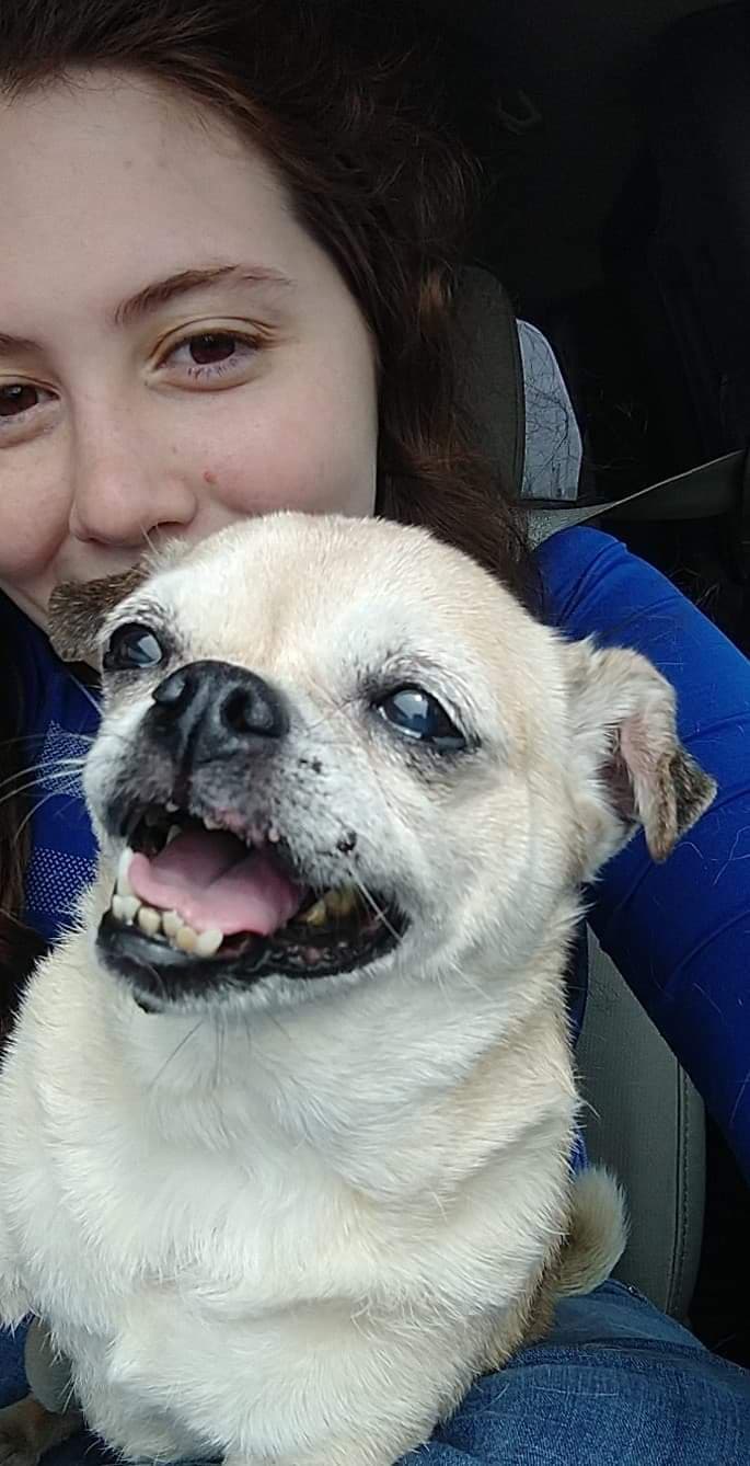 Princess, back home in Texas