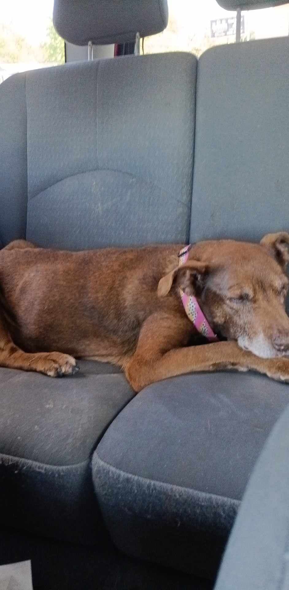 Dulce, back home in Oklahoma