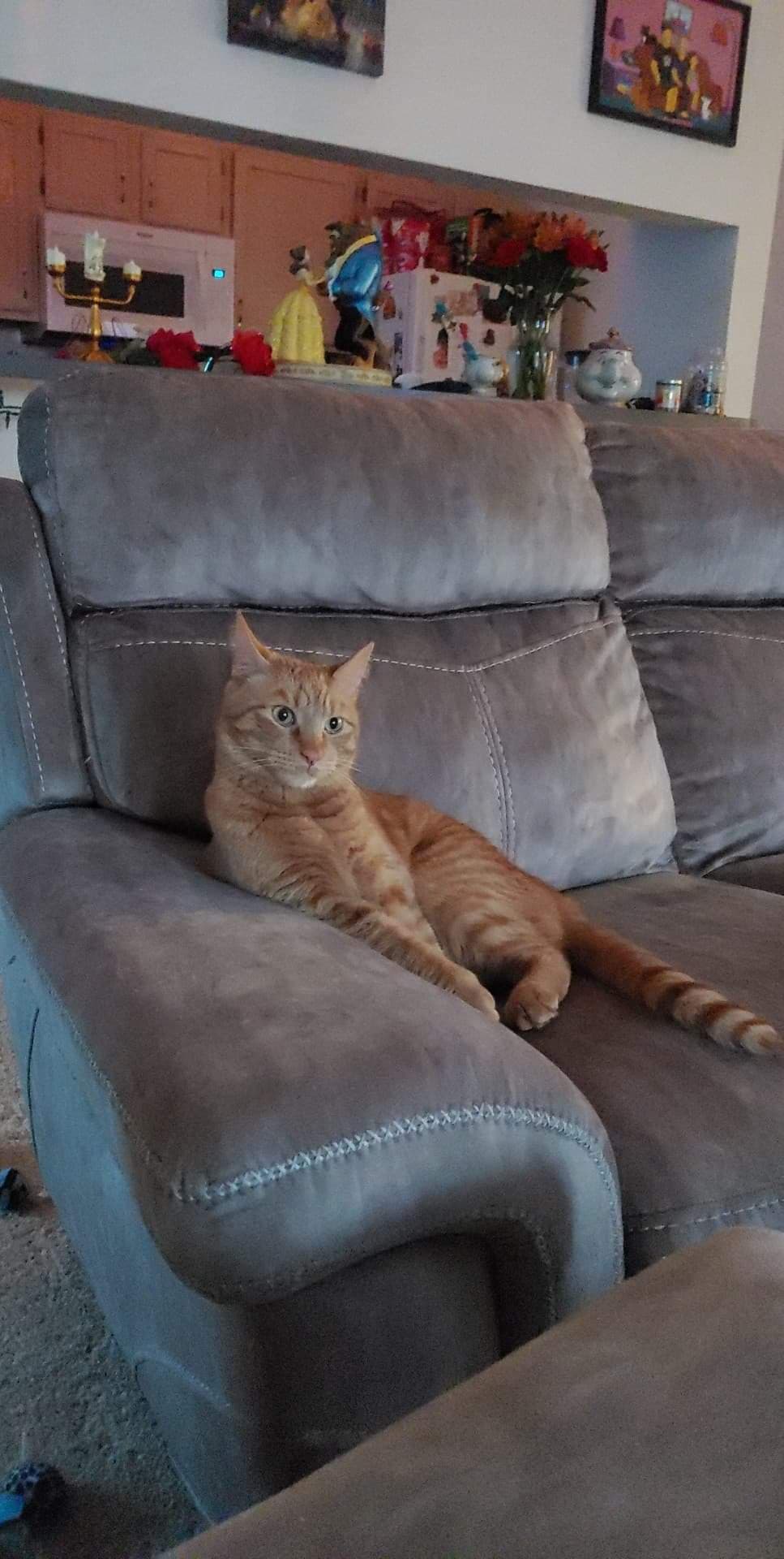 Jameson, back home in Indiana