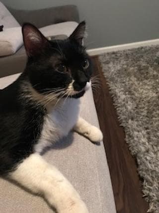 Fernando, back home in Birmingham AL