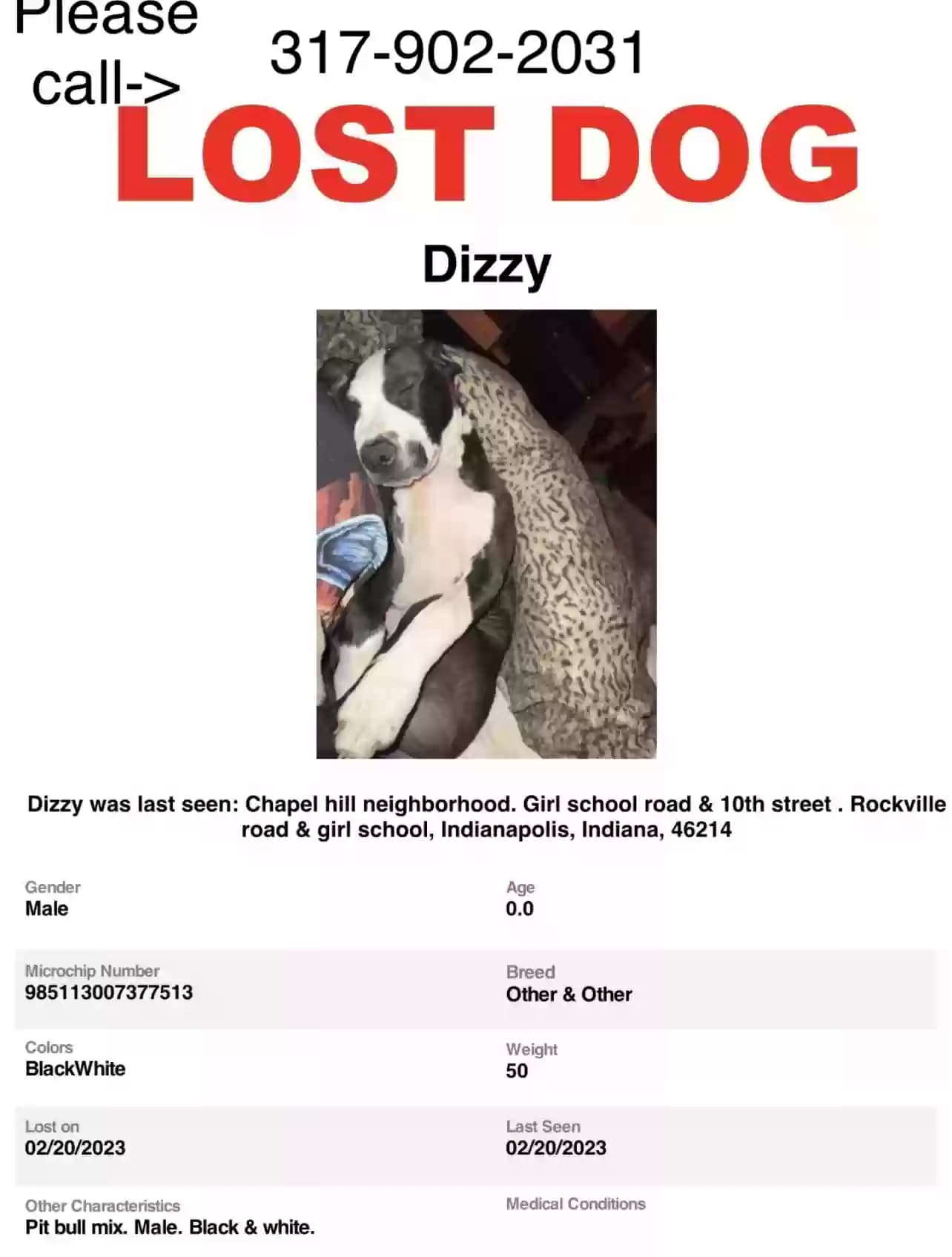 Dizzy, back home in Indiana