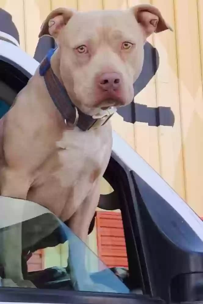 Luca, back home in Oklahoma