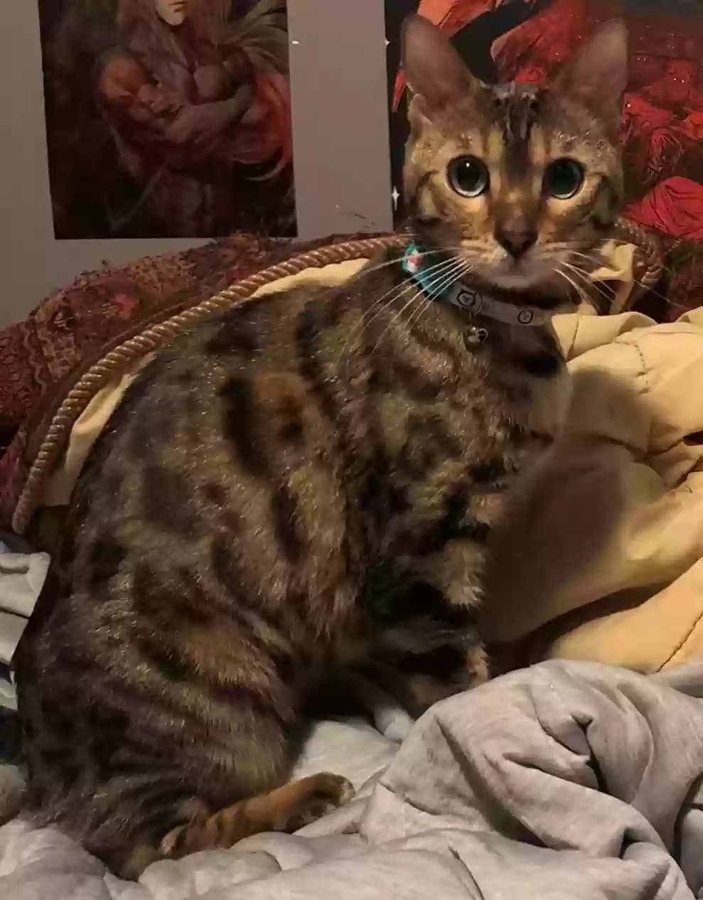 Marcy, back home in Utah