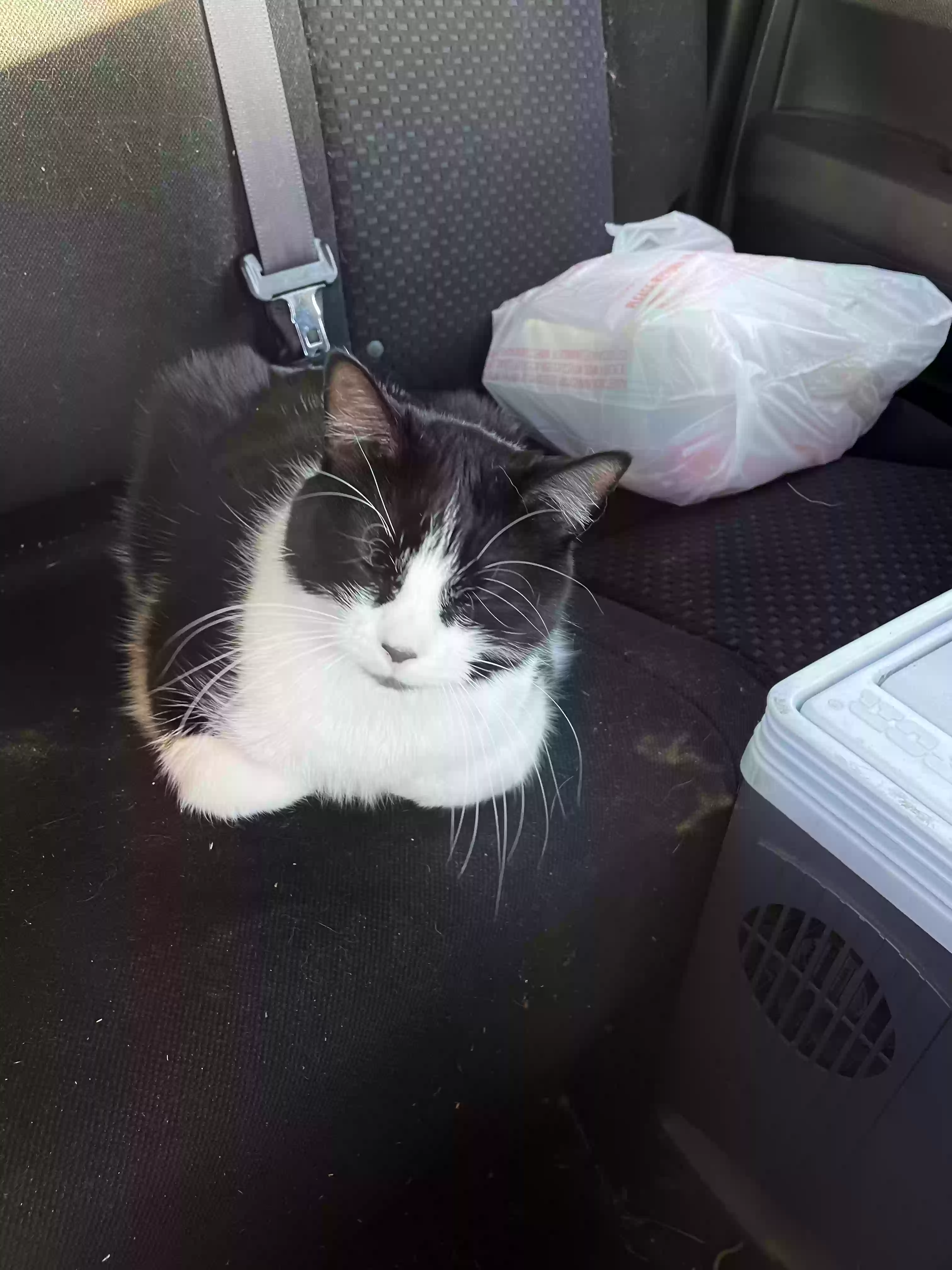 Nova, back home in Missouri