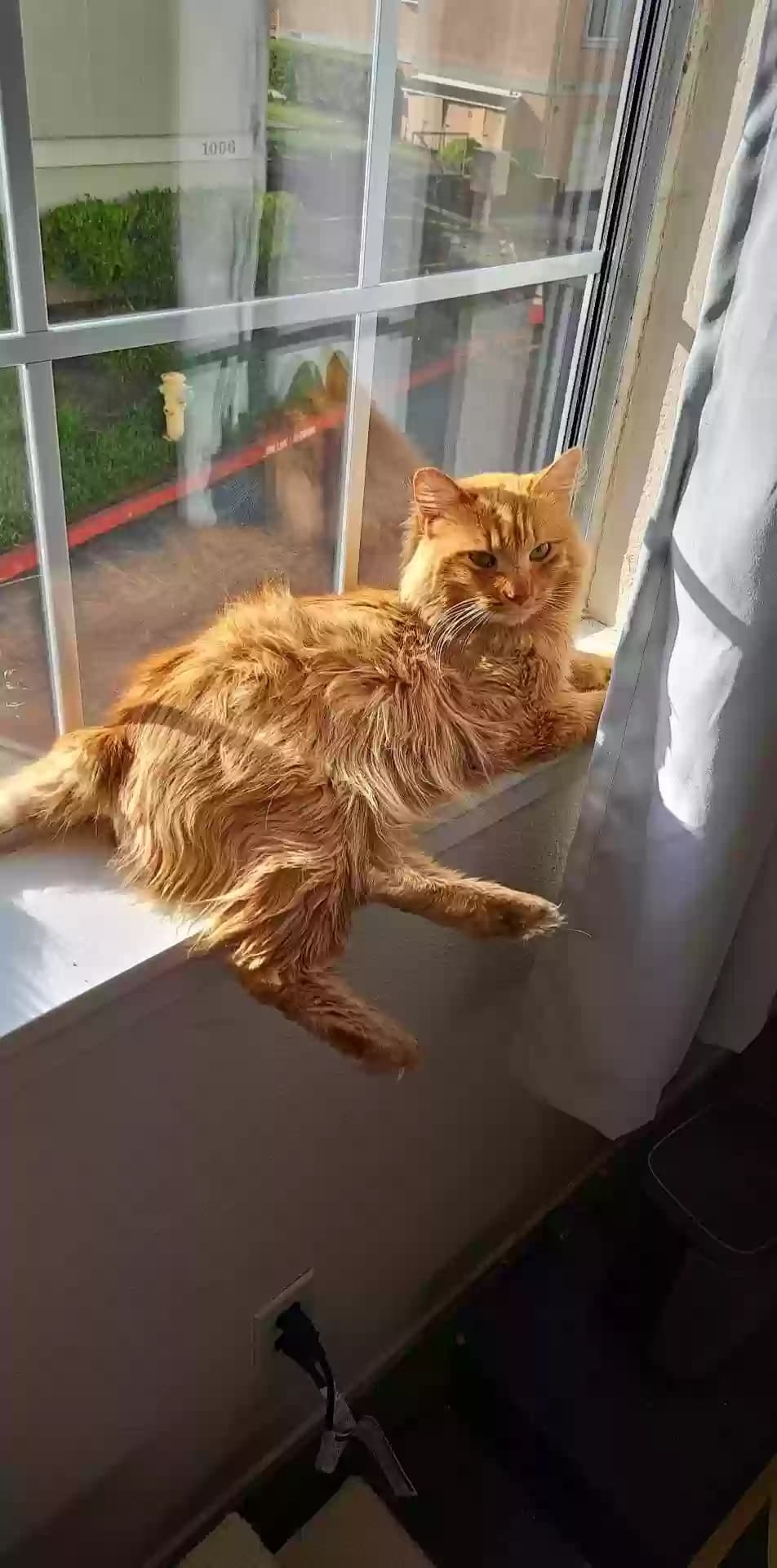 Timmy, back home in California