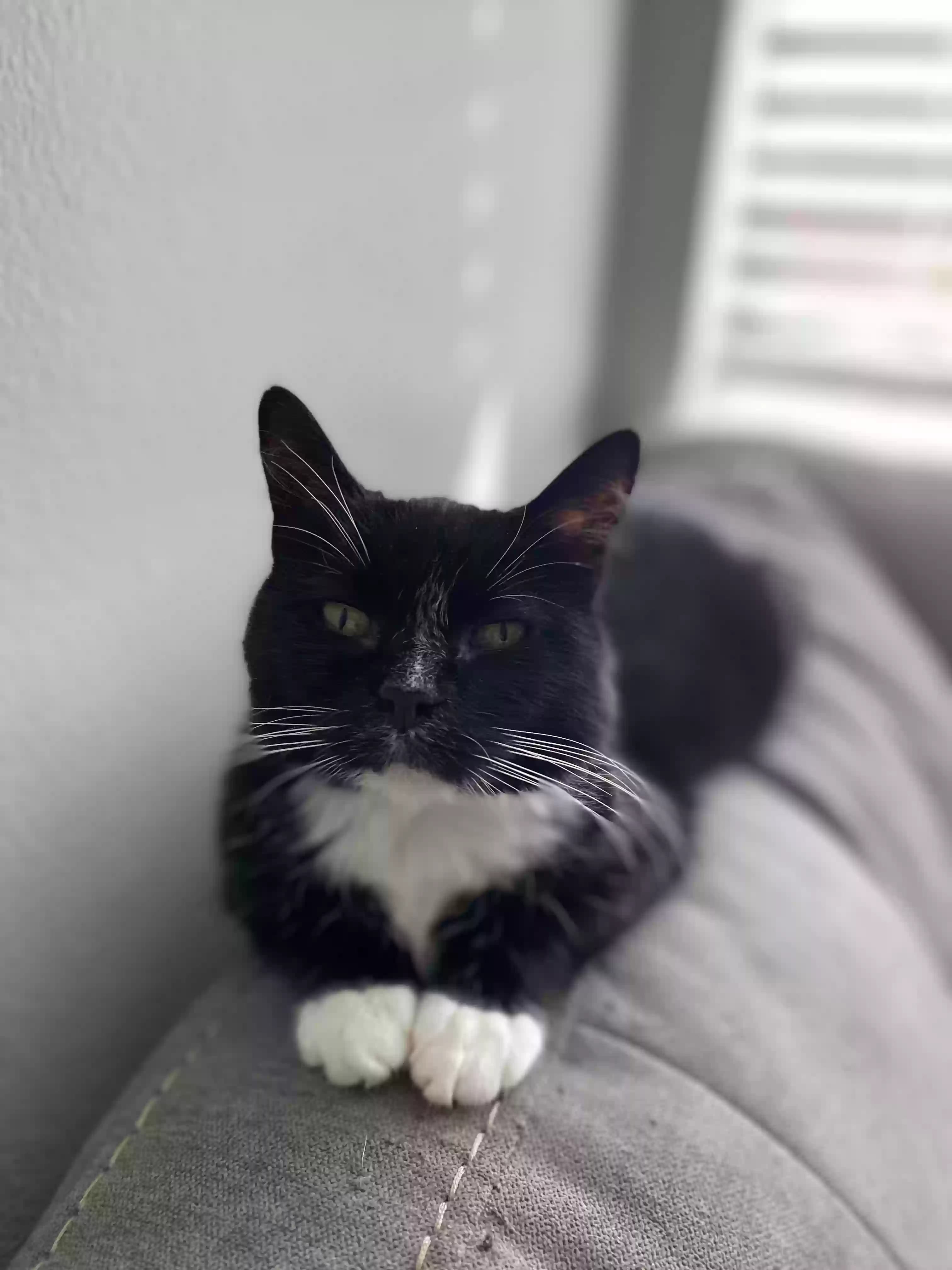 sabrina, back home in Oklahoma