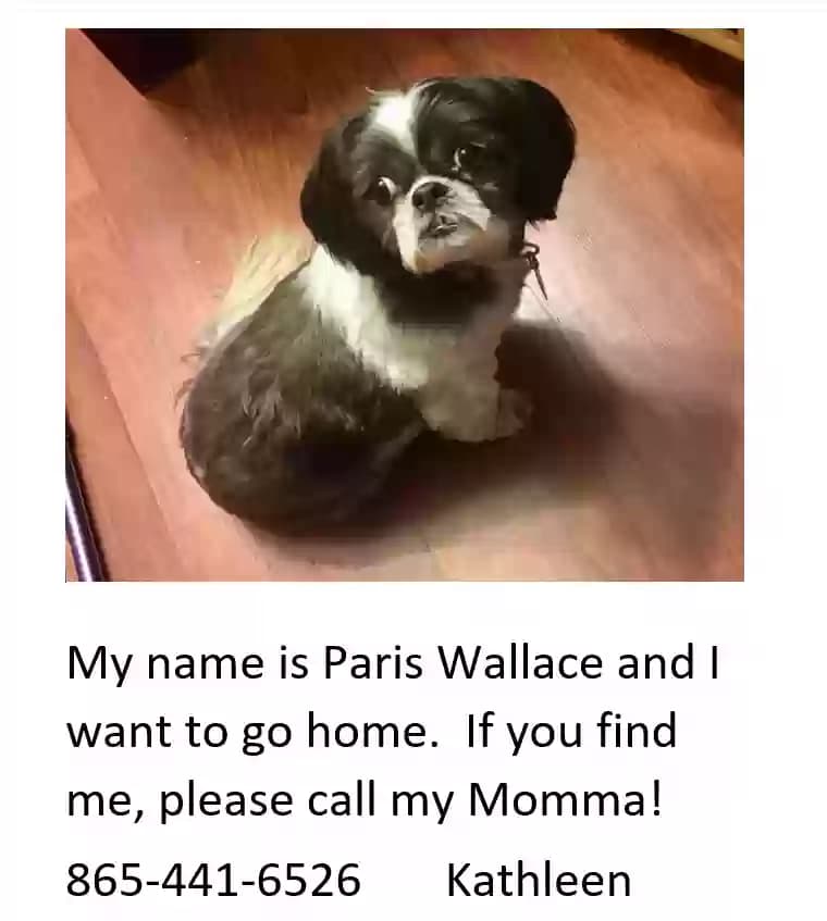 Paris Wallace, back home in Tennessee