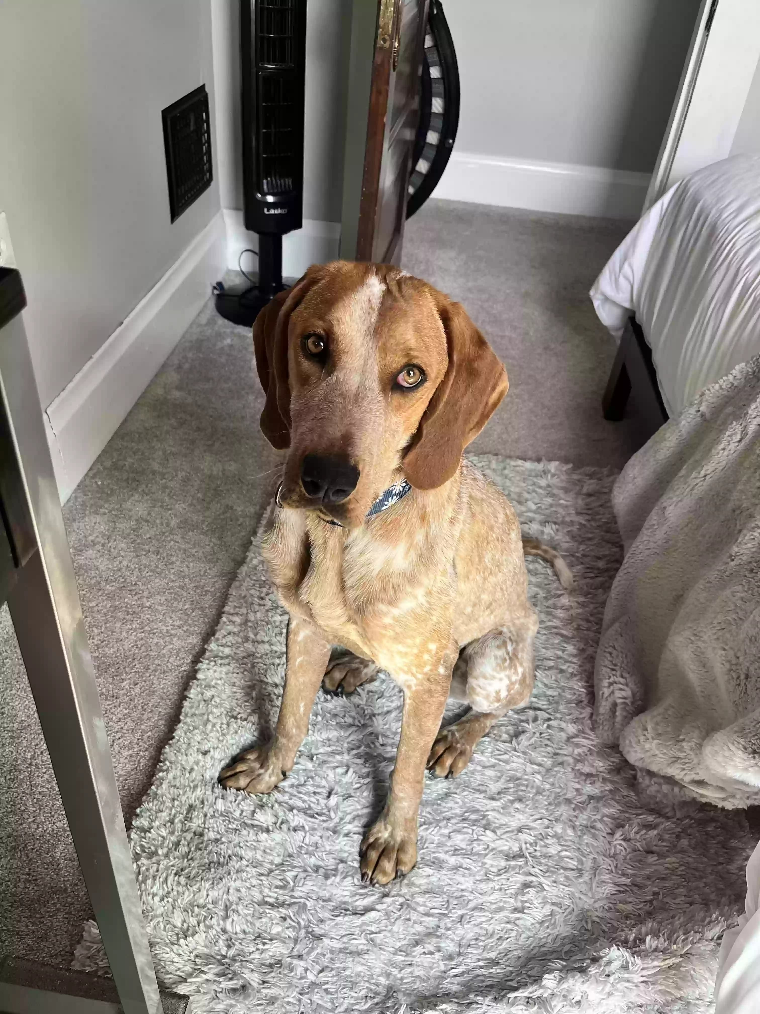 Maisie May, back home in Ohio