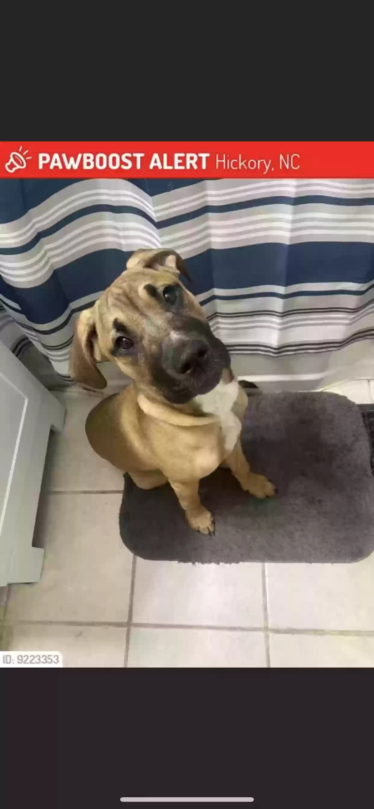 Ruger, back home in North Carolina