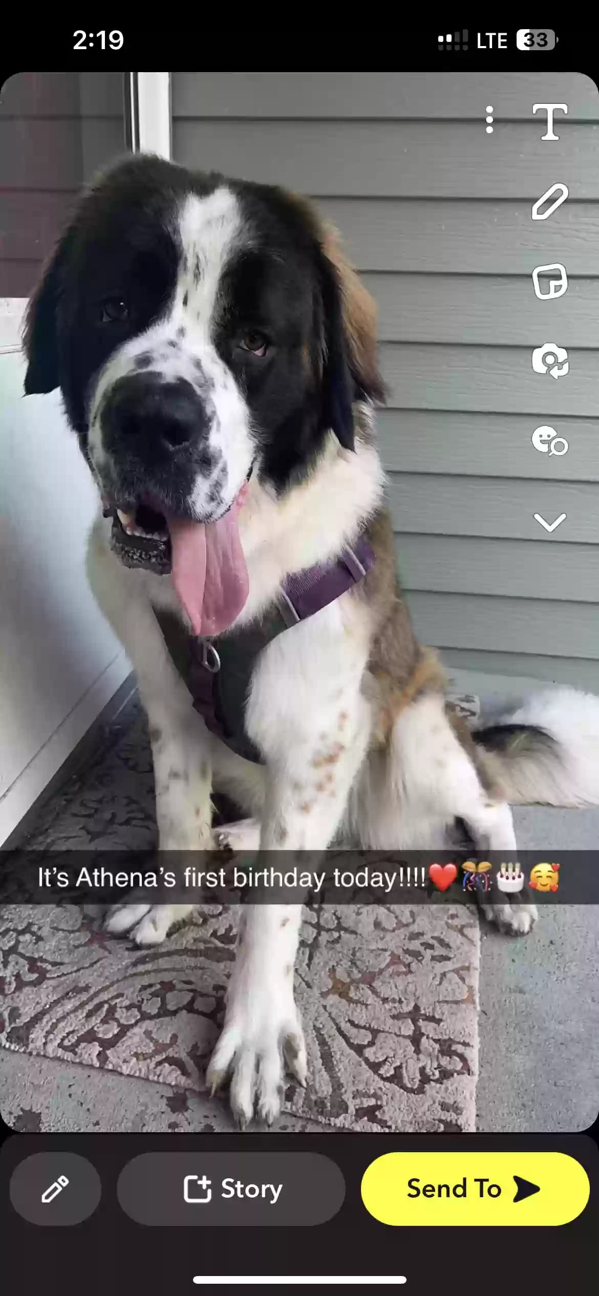 Athena, back home in Minnesota