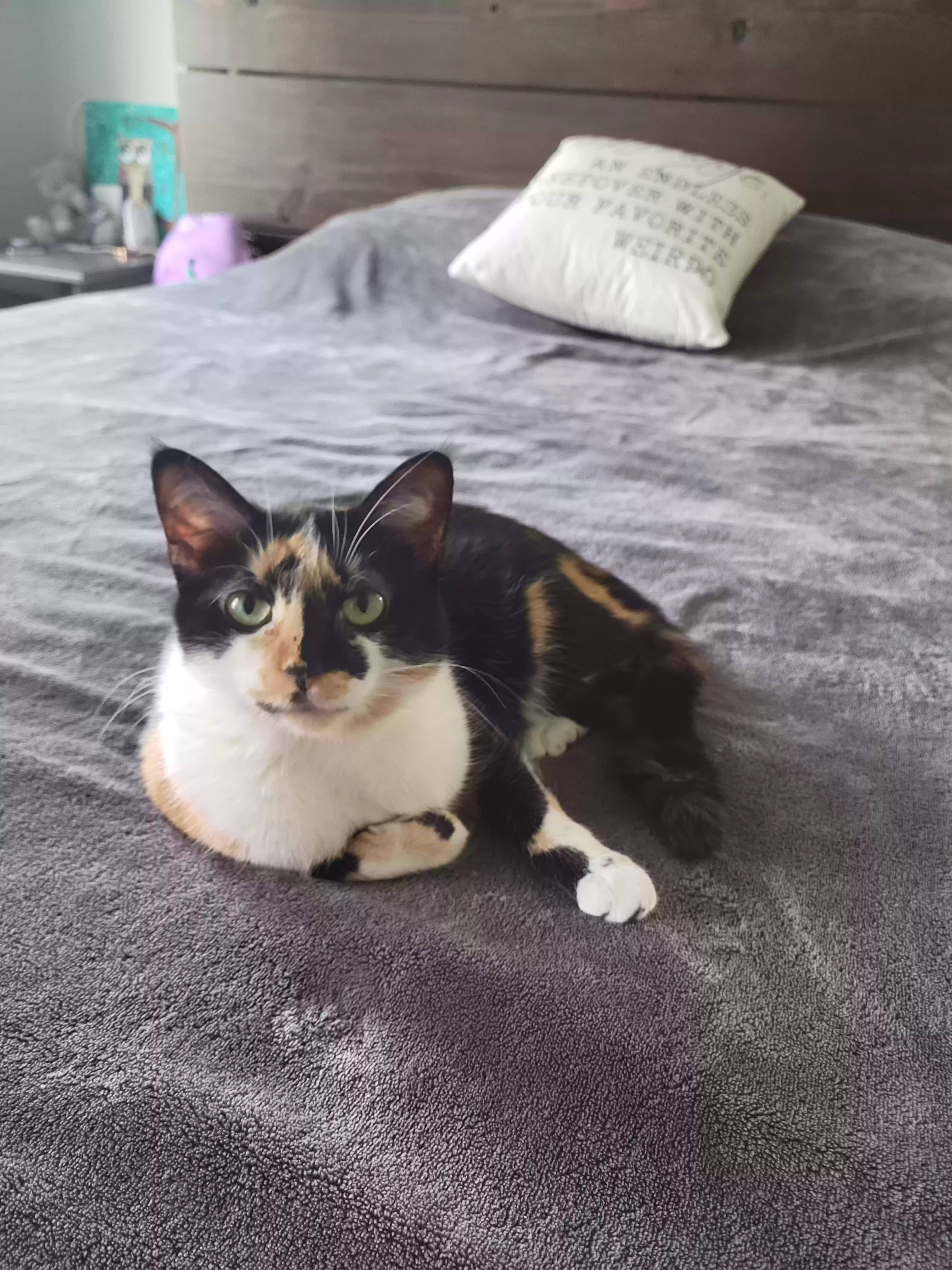 Cali (also responds, back home in Louisiana