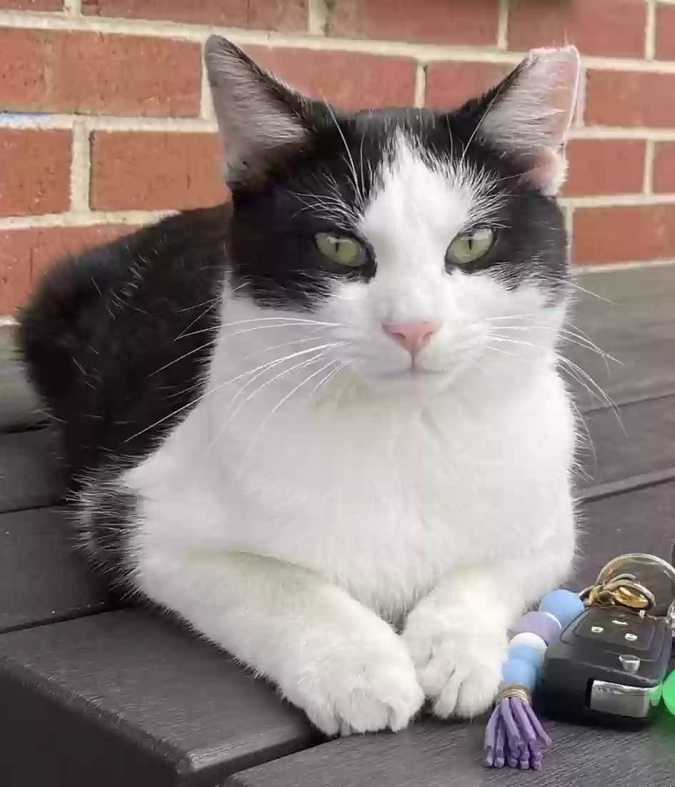 Georgie, back home in Kentucky