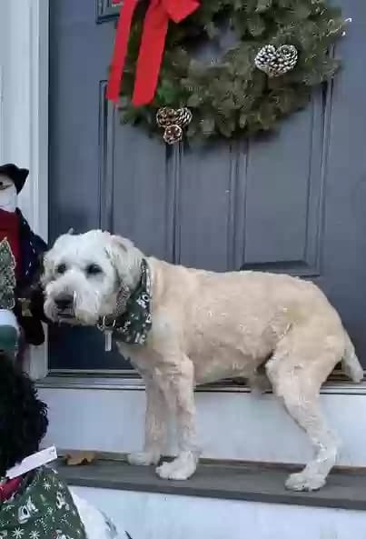 Finnegan, back home in New Jersey