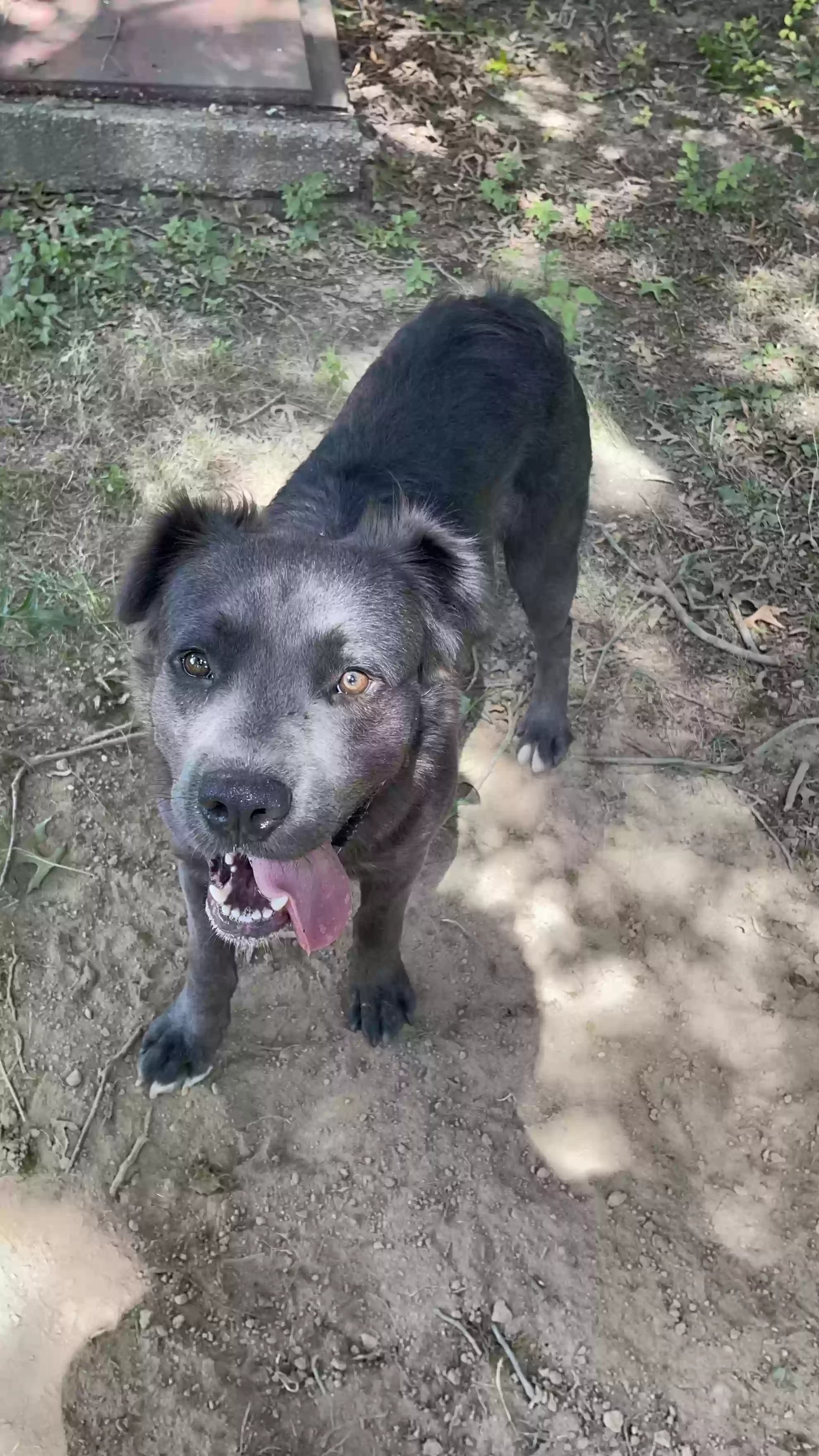 Marshall, back home in Arkansas