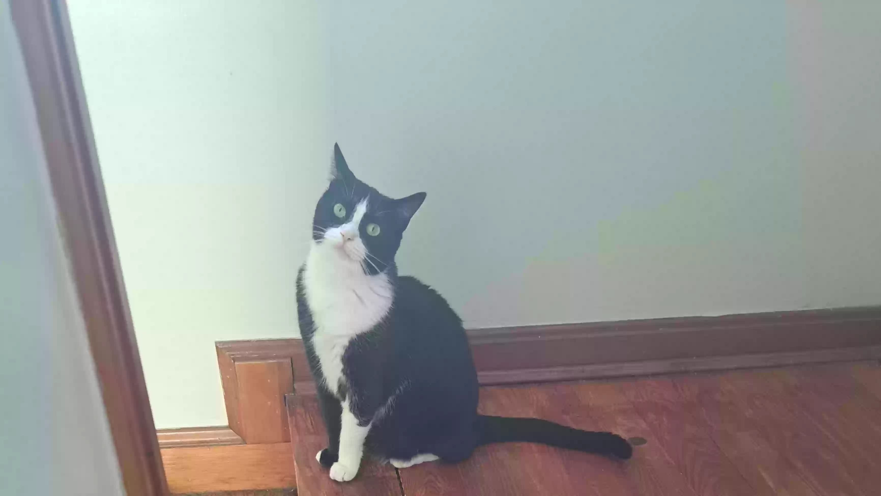 Beans, back home in Ohio