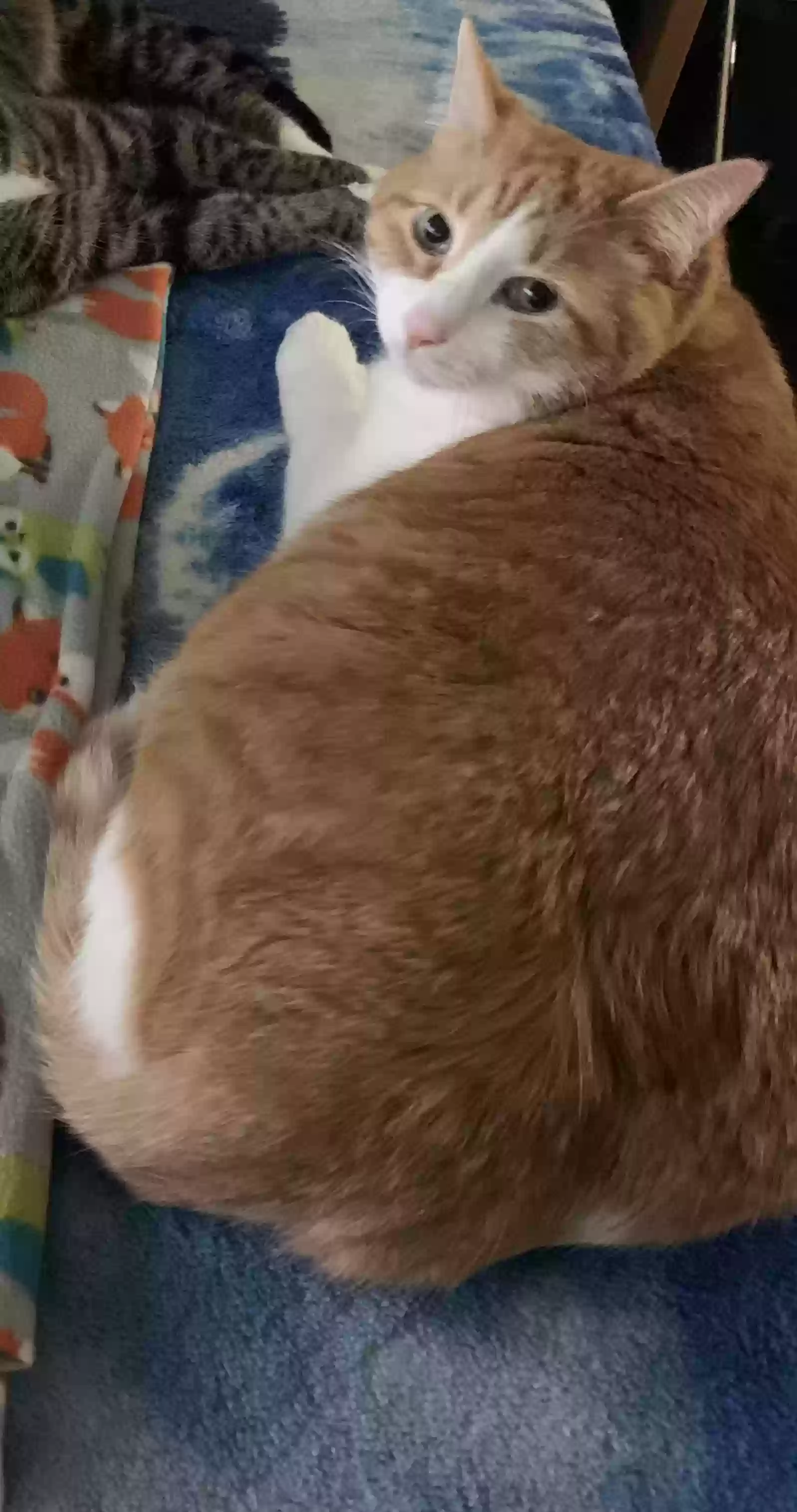 Butters, back home in West Virginia