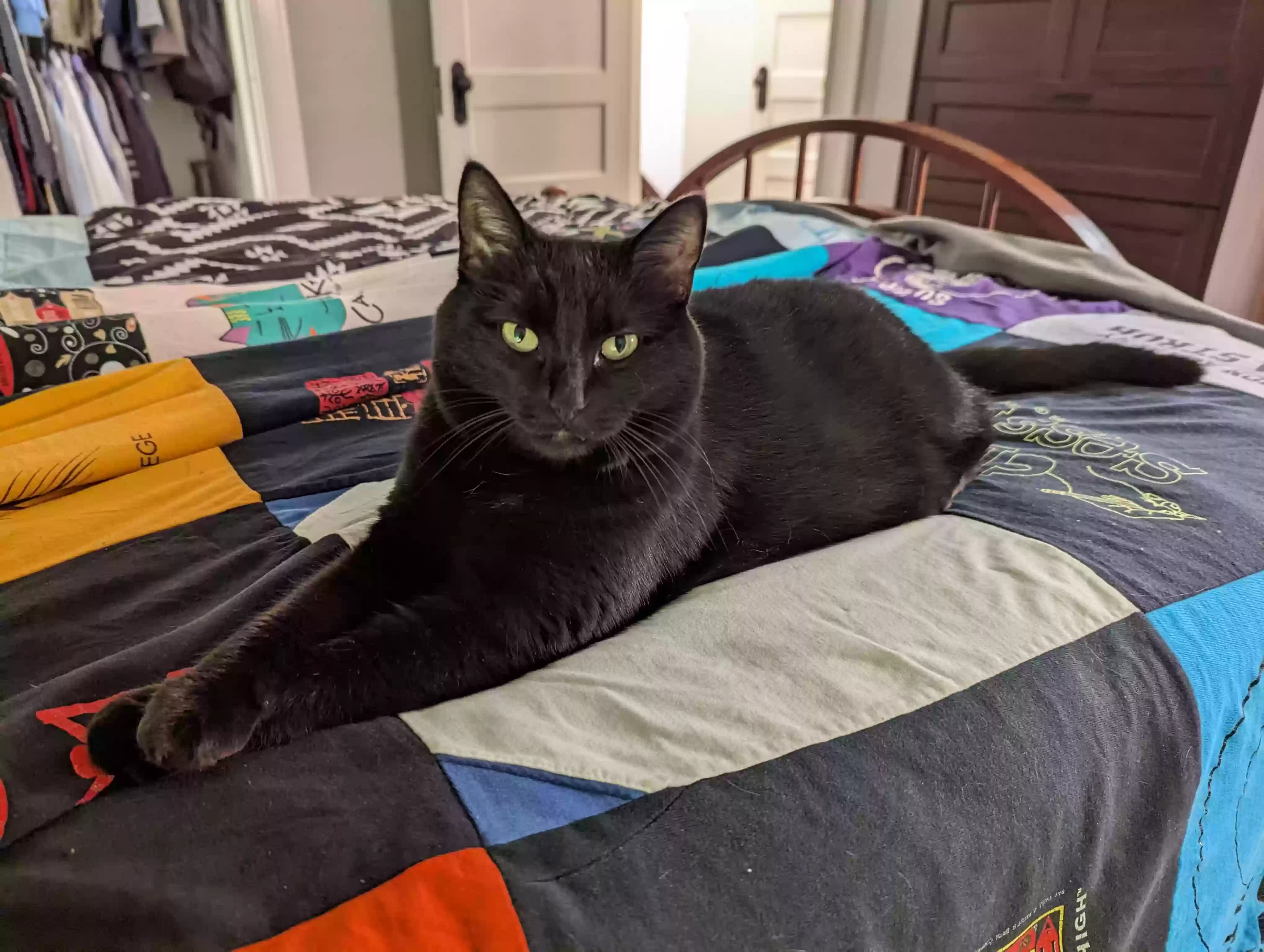Sasha, back home in Missouri