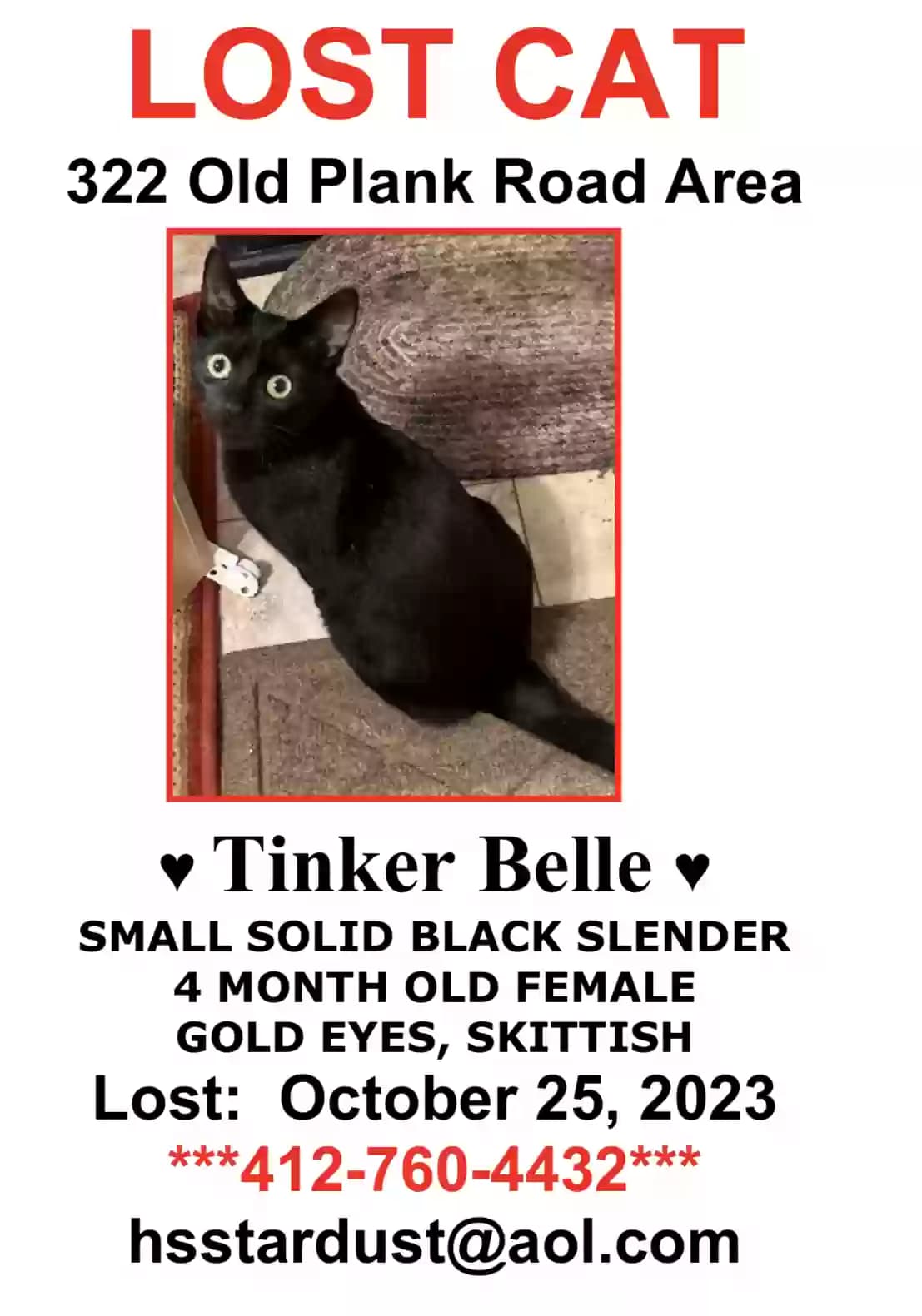 Tinker Belle, back home in Pennsylvania