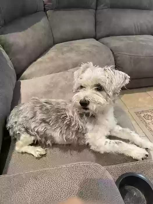 Charlie, back home in Texas