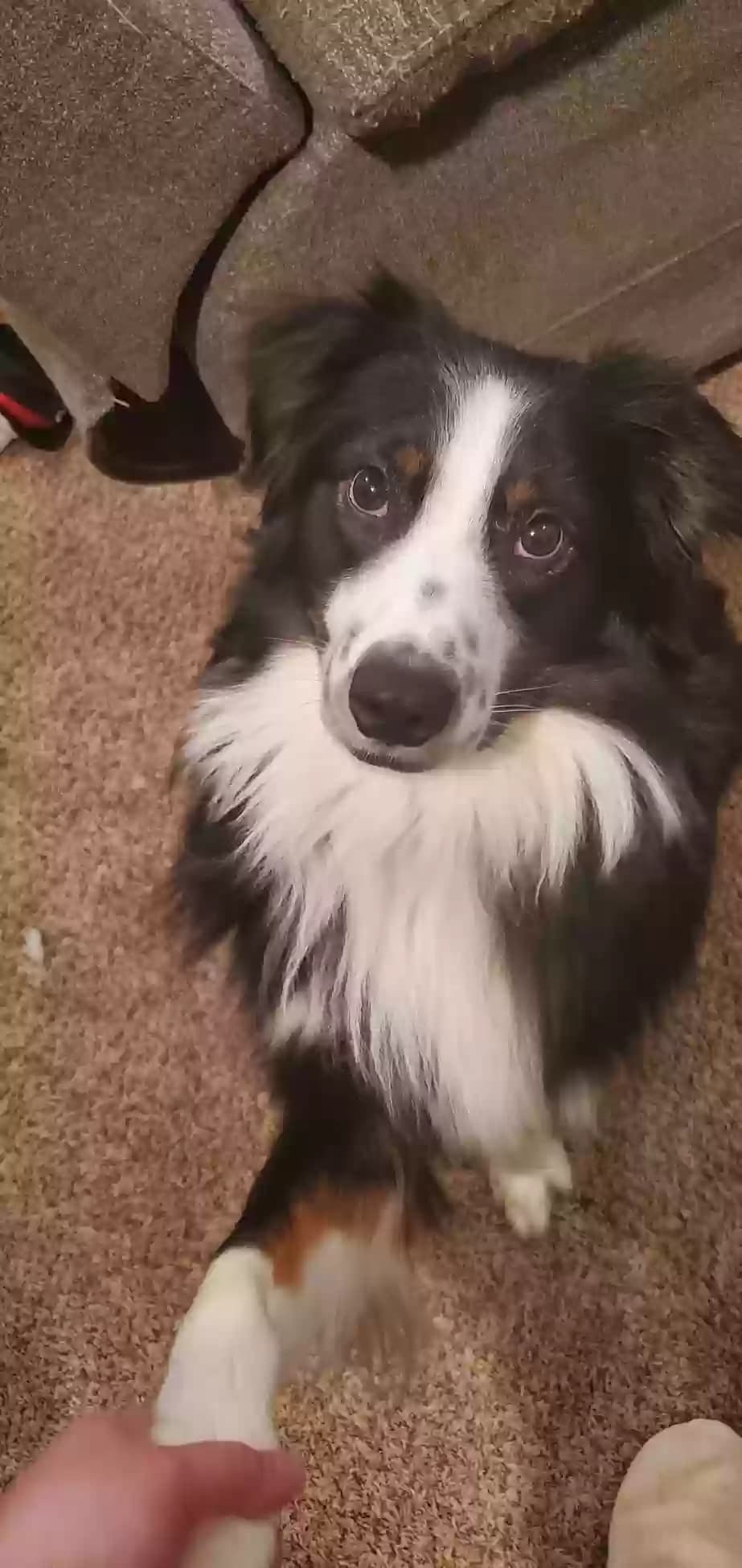Lyoko (Lee-Oh-Co), back home in Ohio