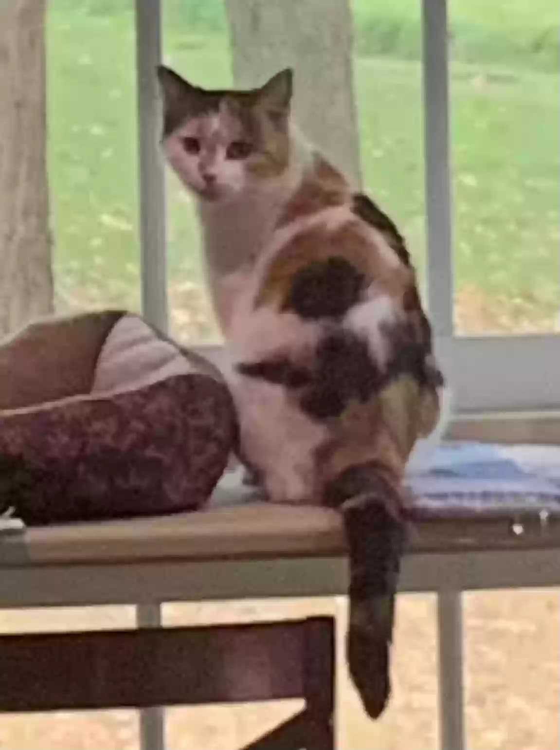 Unknown, back home in Michigan