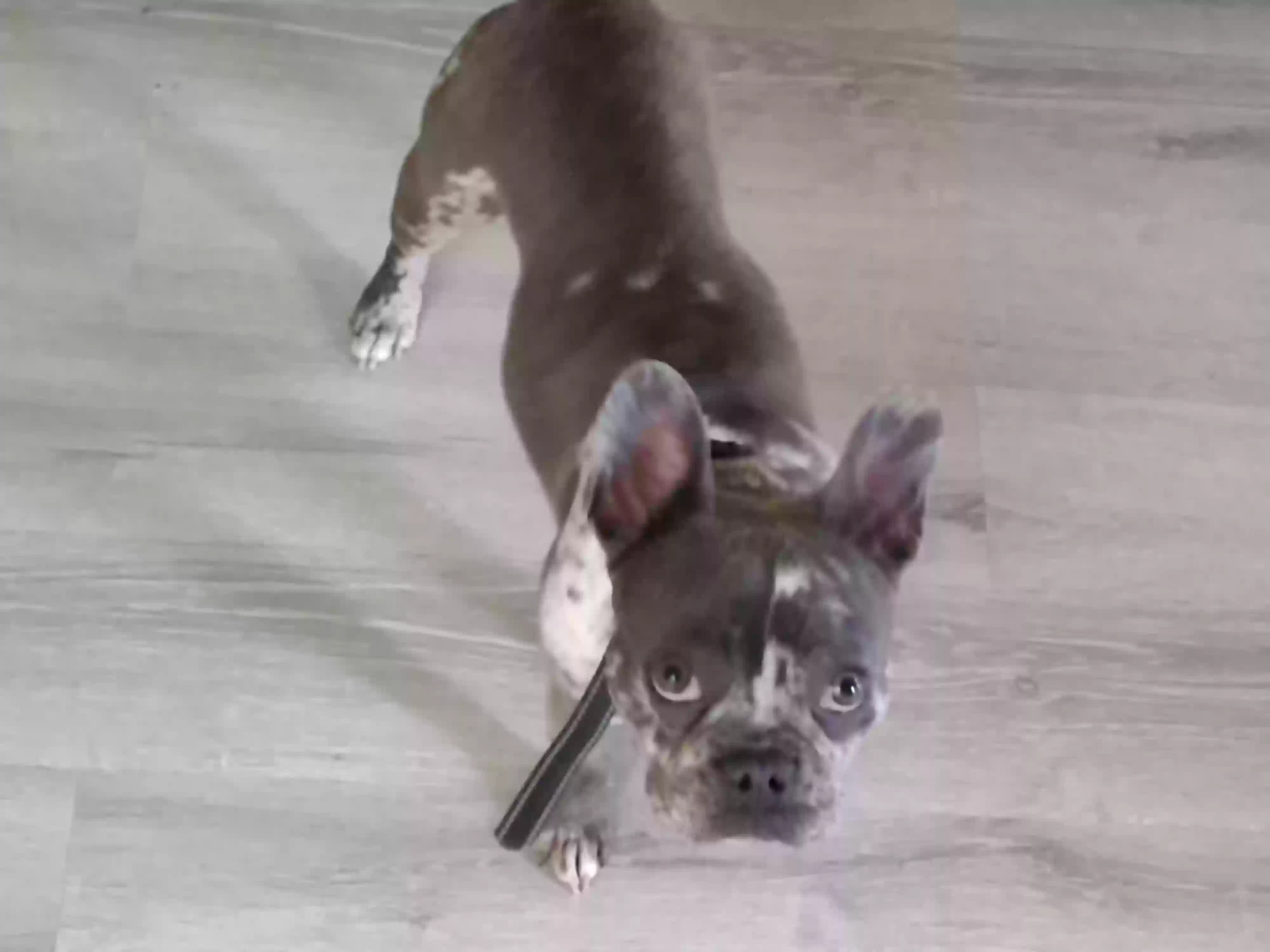 Penny Gardner, back home in Florida