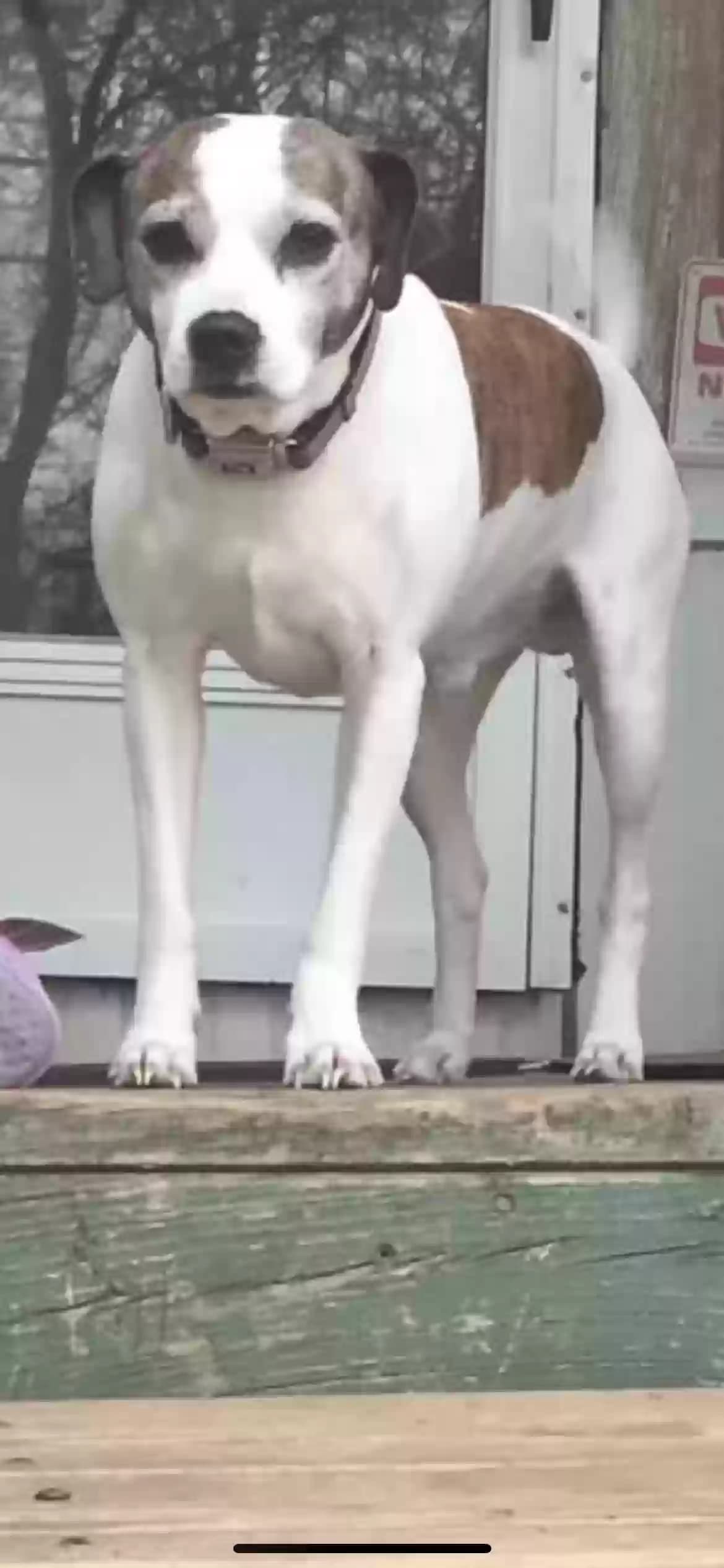 Ruger, back home in Texas