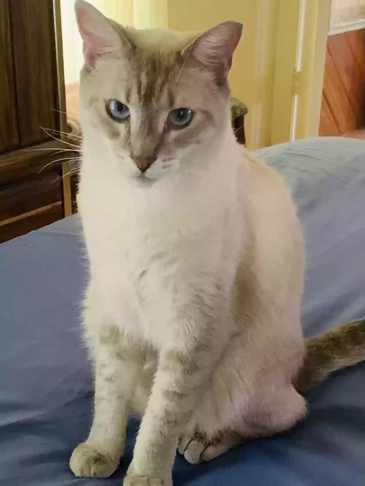 Princess, back home in Florida