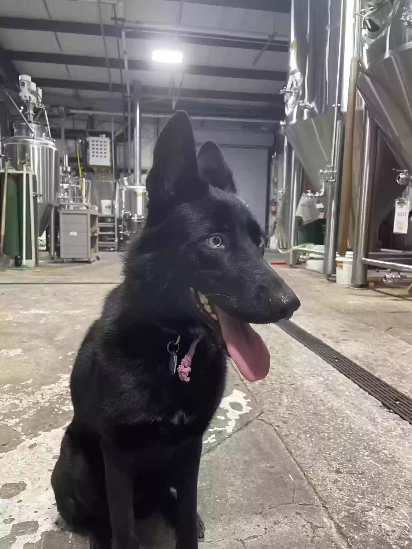 Yara, back home in Texas