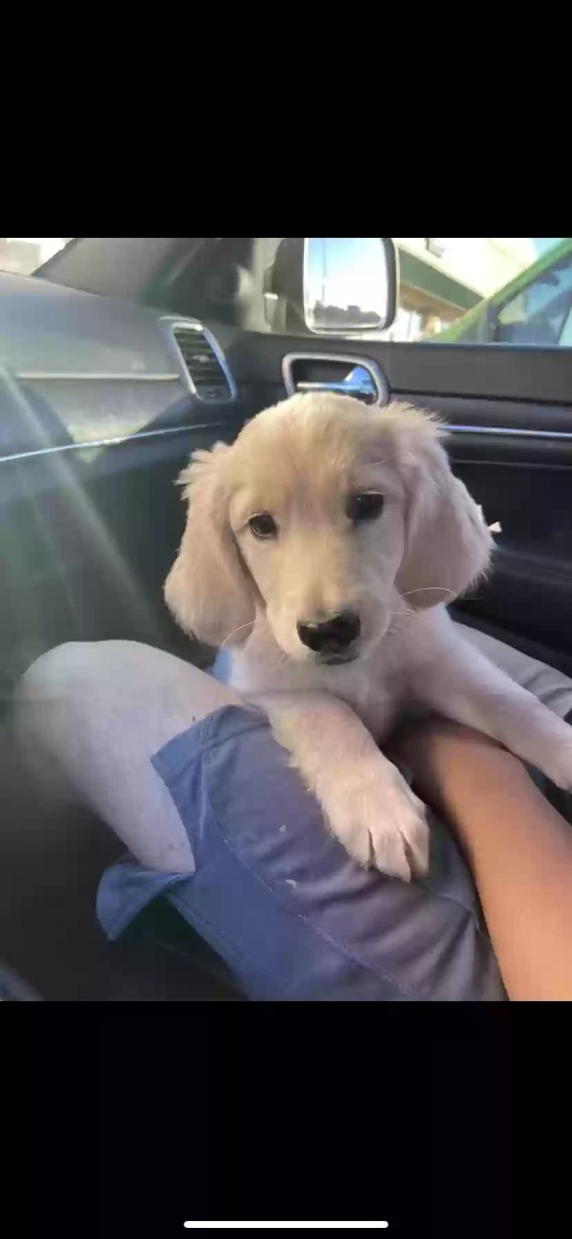 Ruby, back home in Texas