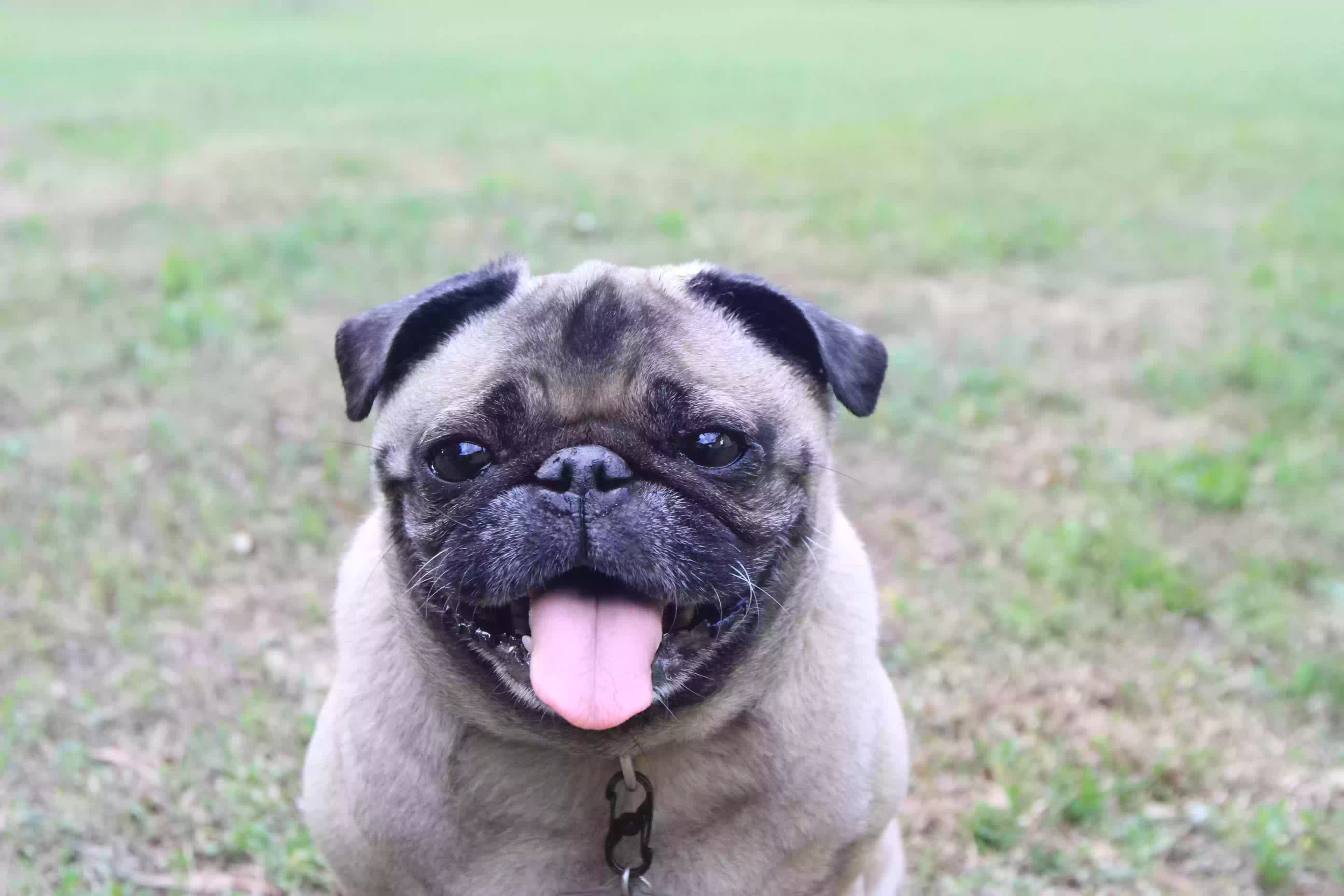 Bruce, back home in Florida