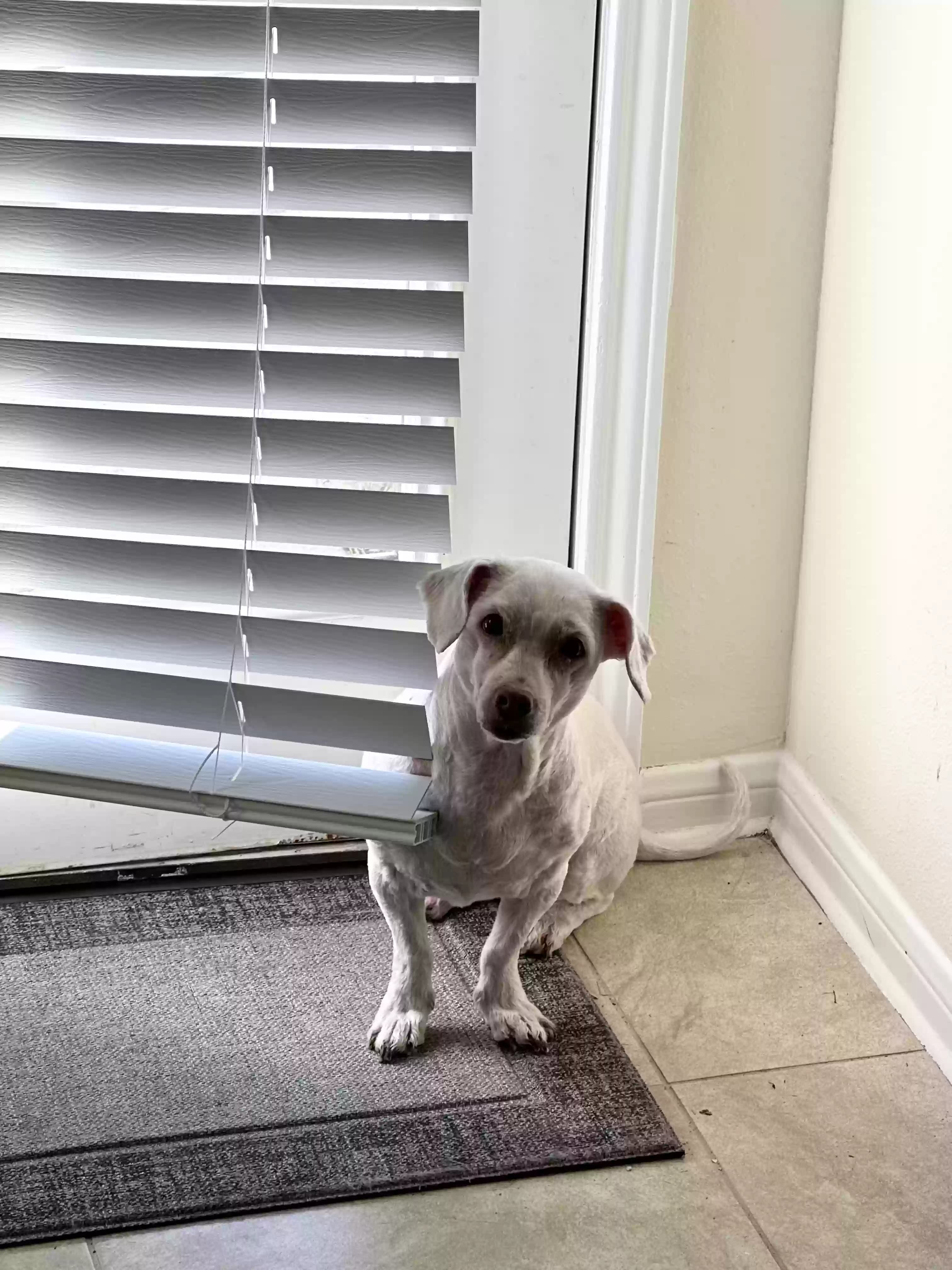 Miracle, back home in Texas