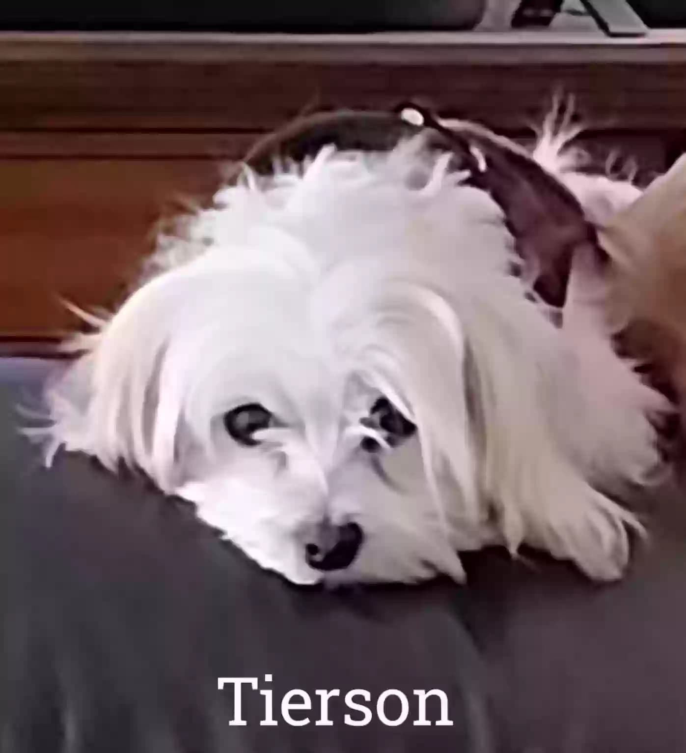 Tierson, back home in Illinois