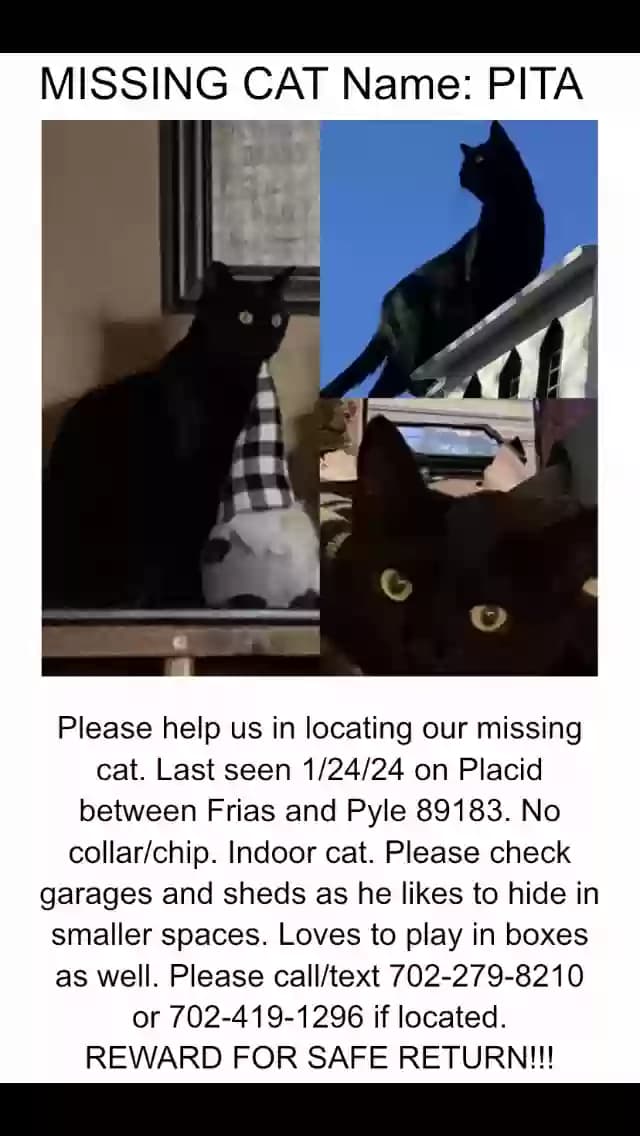 PITA, back home in Nevada
