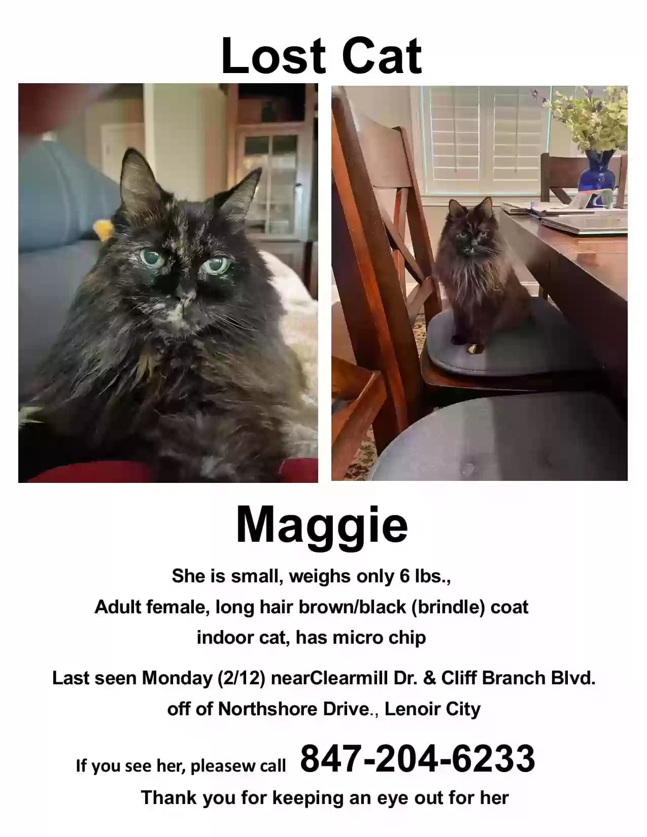 Maggie, back home in Tennessee