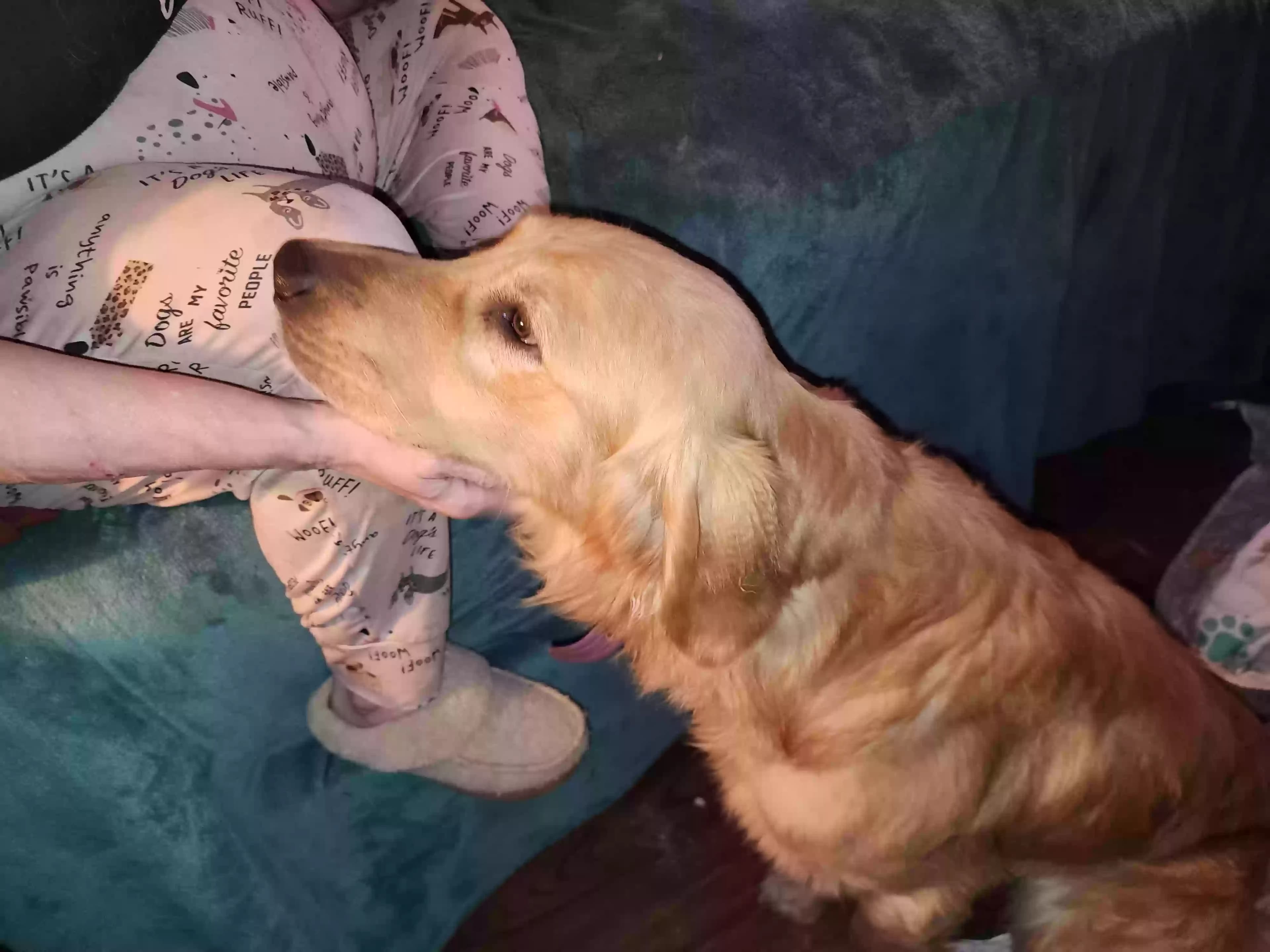 Dee Dee (Delilah), back home in Texas
