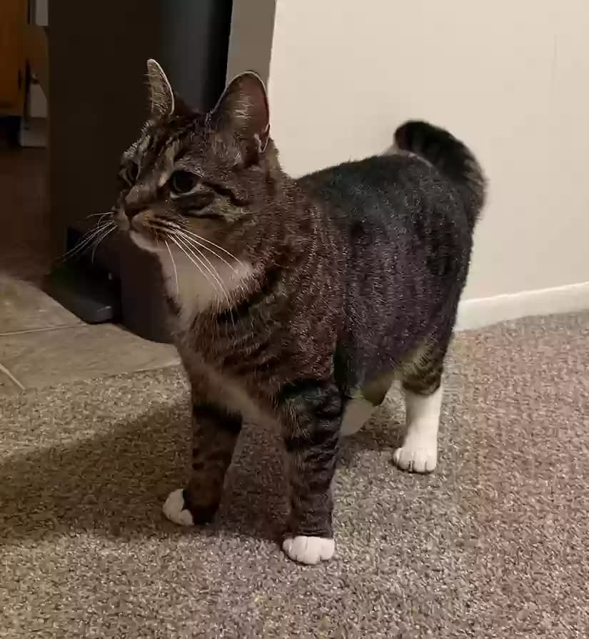 Min, back home in Maryland