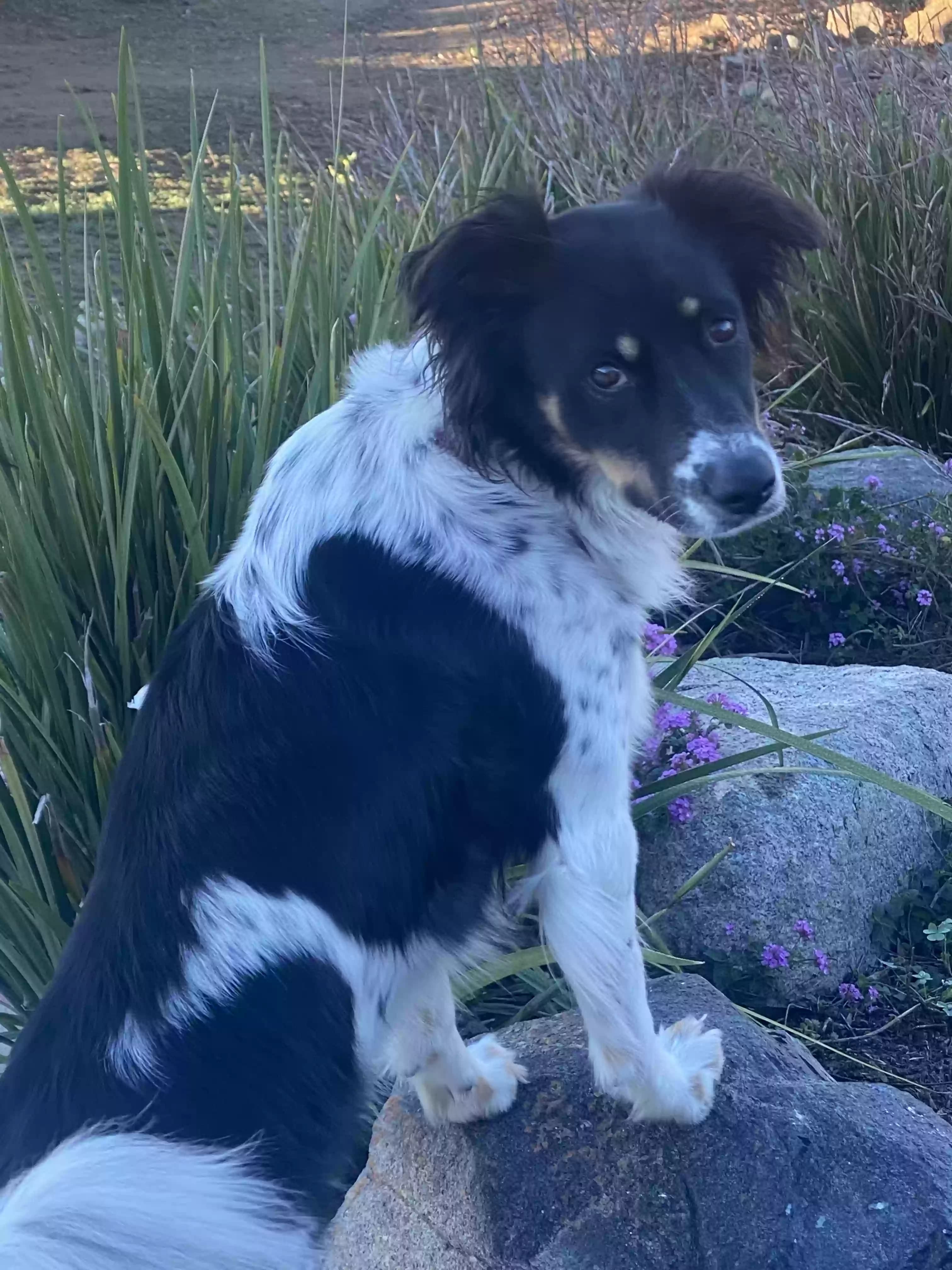 Kaci, back home in California