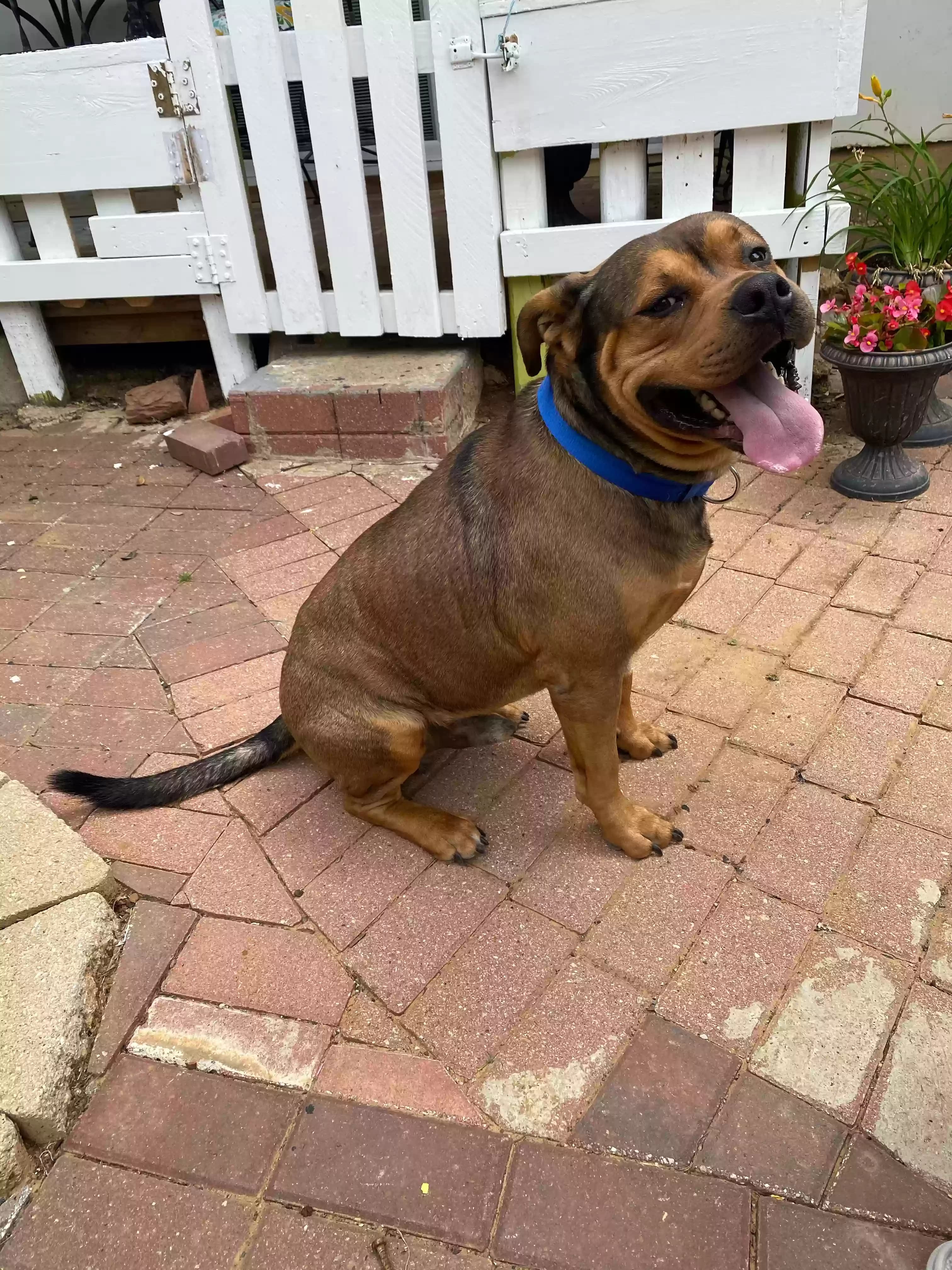 Bronson, back home in Texas