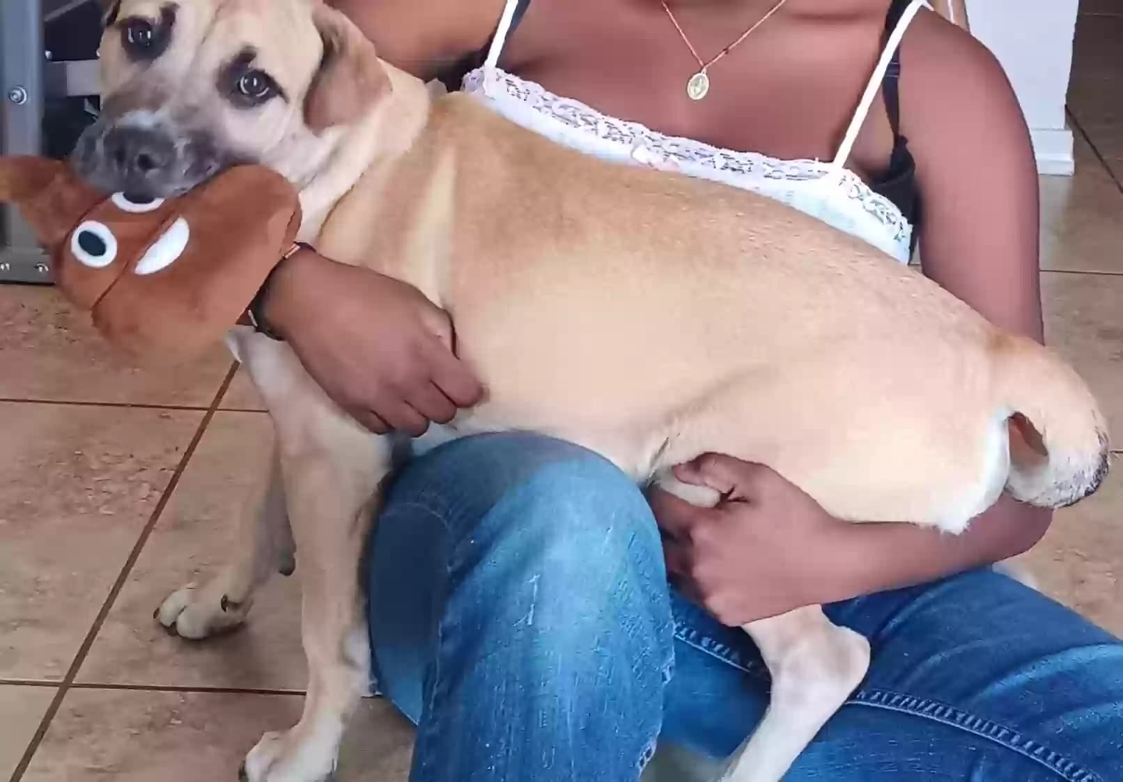 Omni (Fat), back home in Arizona