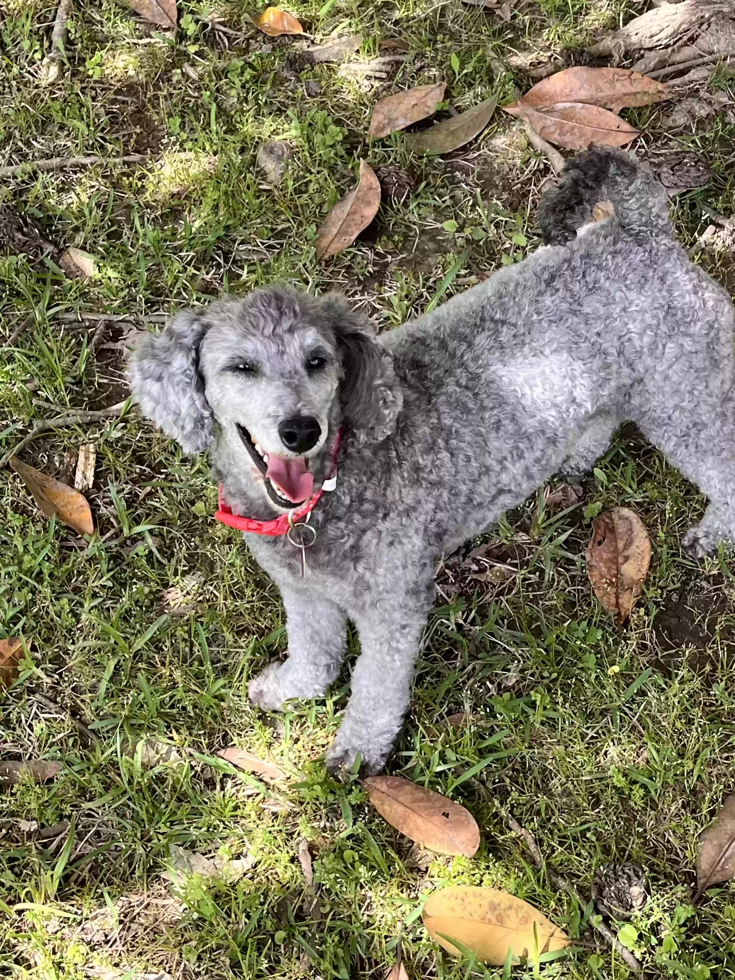 Jovi, back home in Mississippi