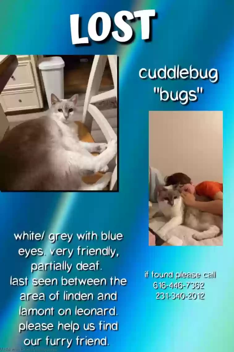 Cuddlebug, back home in Michigan