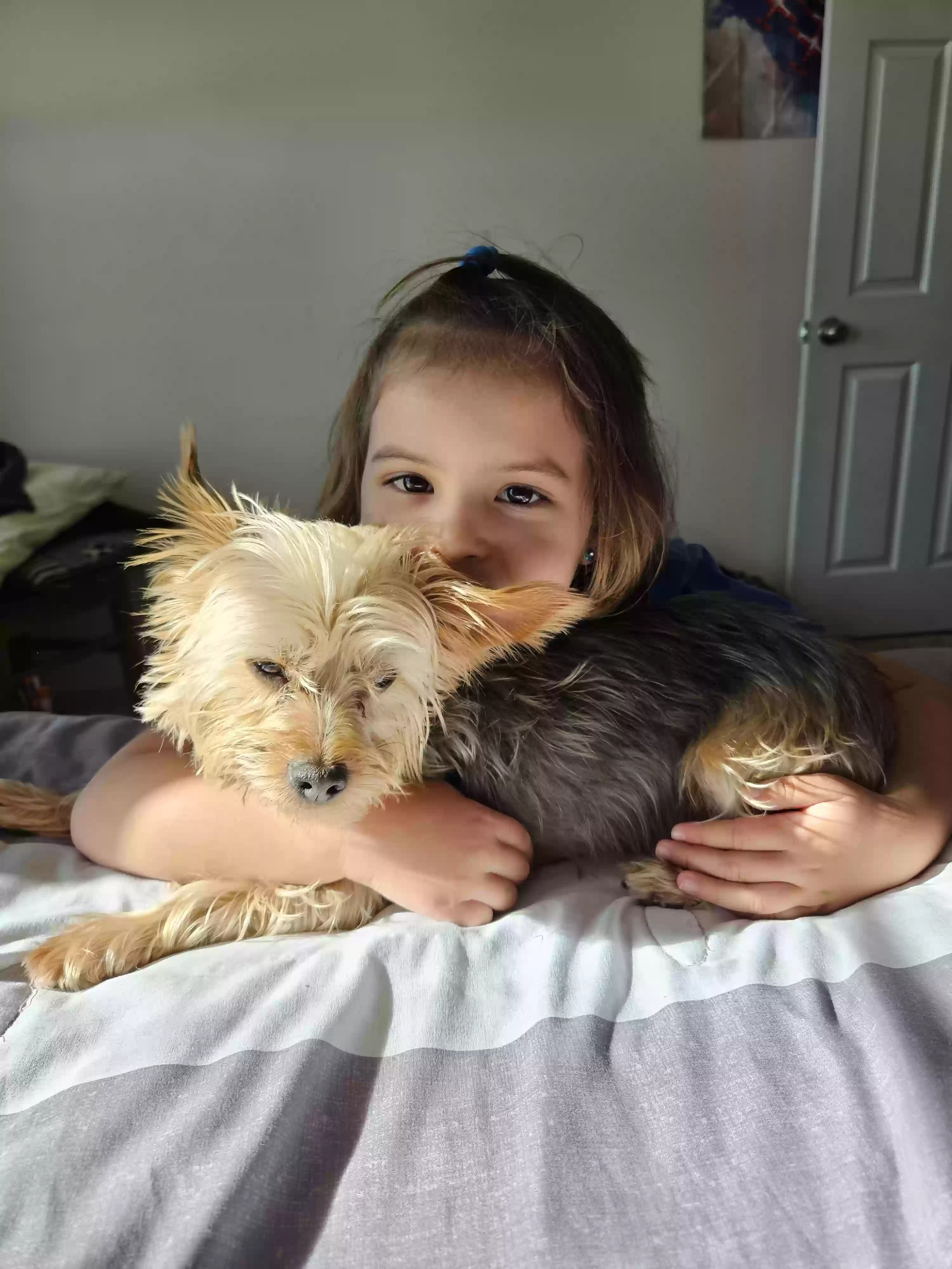 Gizmo, back home in Oklahoma