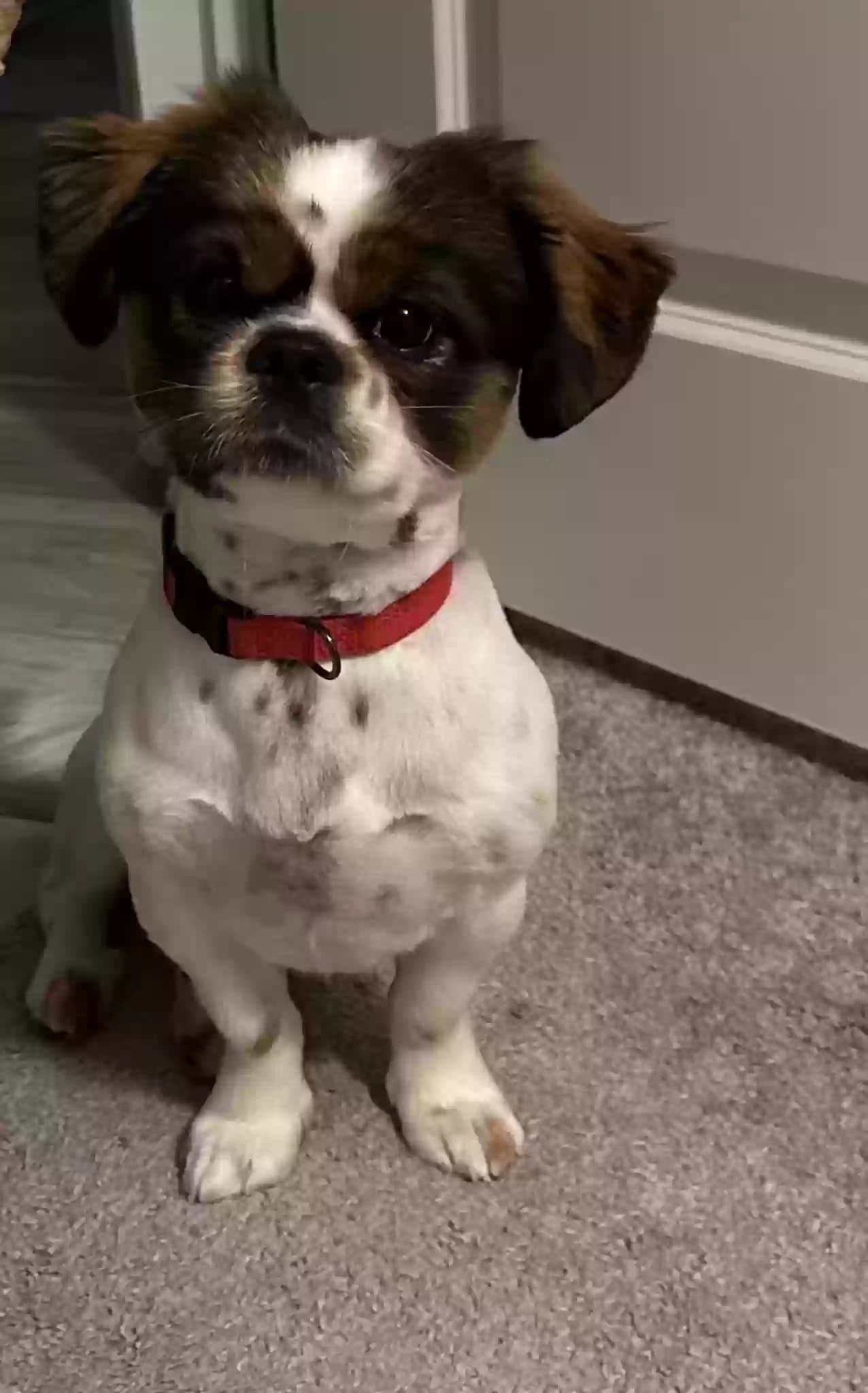 Oliver, back home in Oklahoma