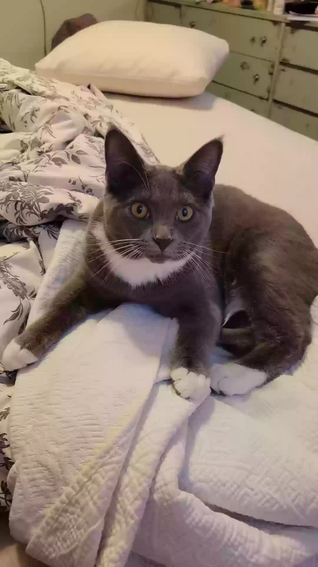 Mabel, back home in Pennsylvania