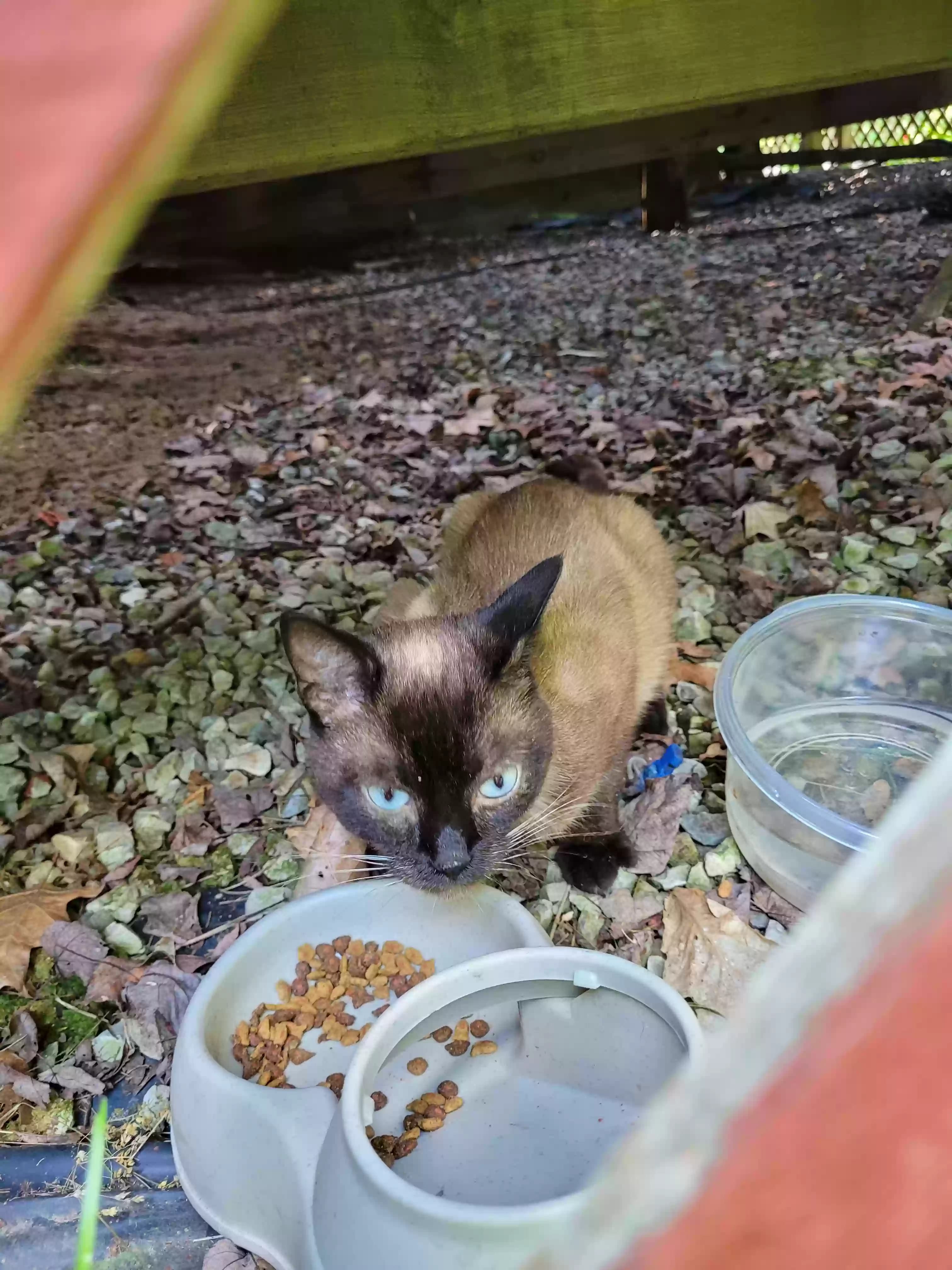 Unknown, back home in Michigan